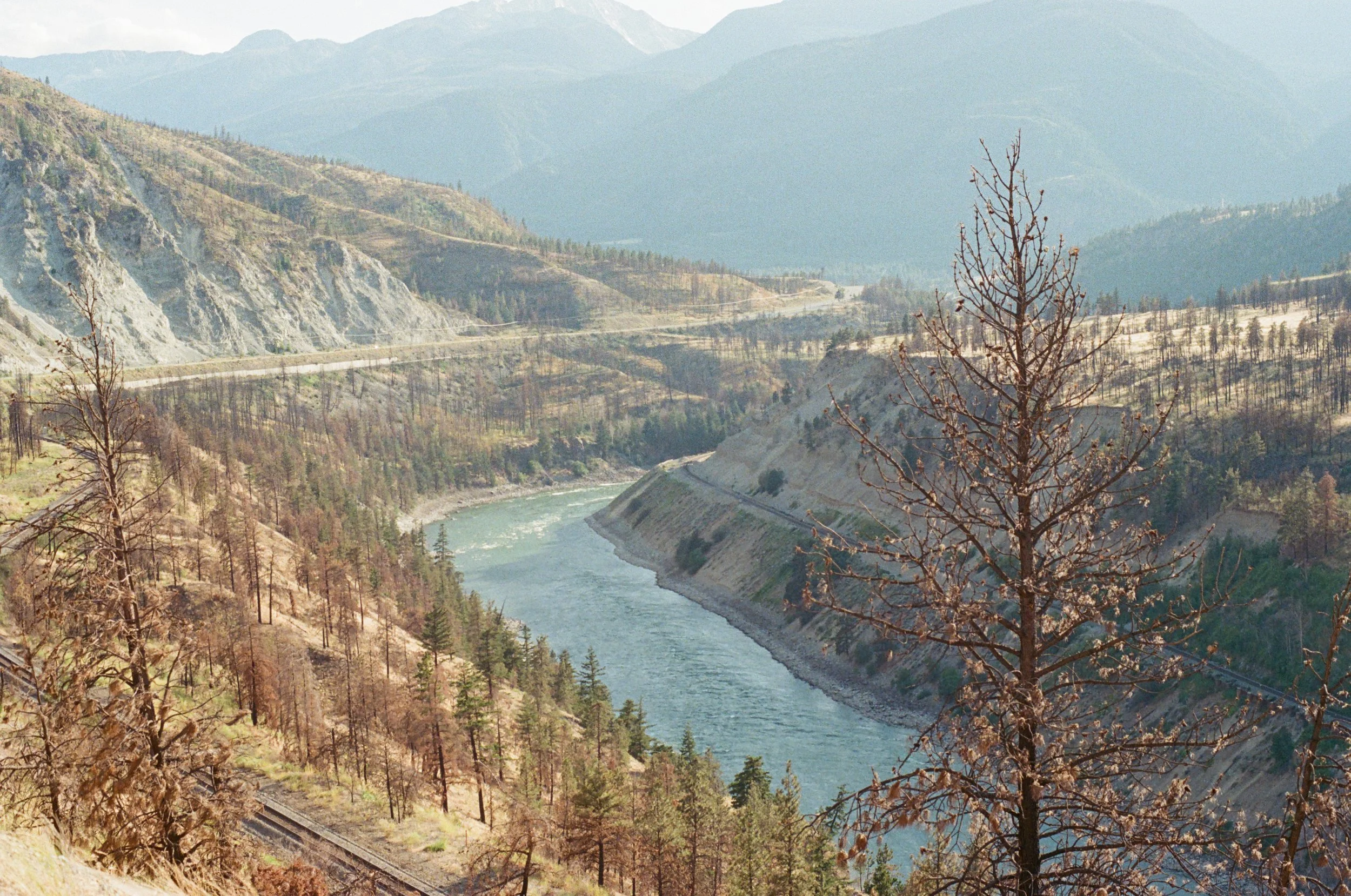 A landscape photo of a river winding through a valley with mountains in the background. There are leafless trees in the foreground and forested hillsides along the river.