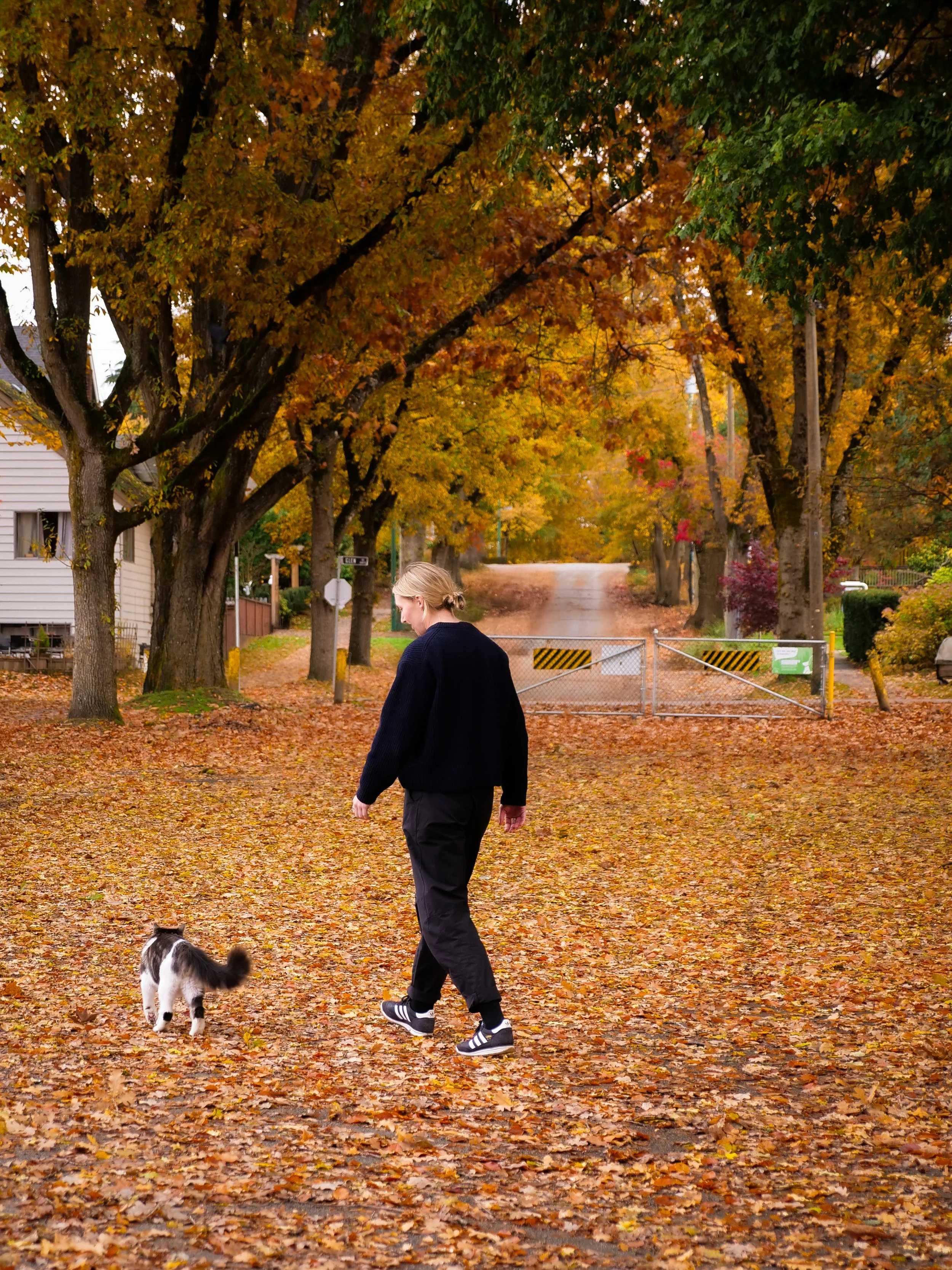 A person walking a dog on a leaf-covered street lined with trees in fall colors, with a gate blocking the road.