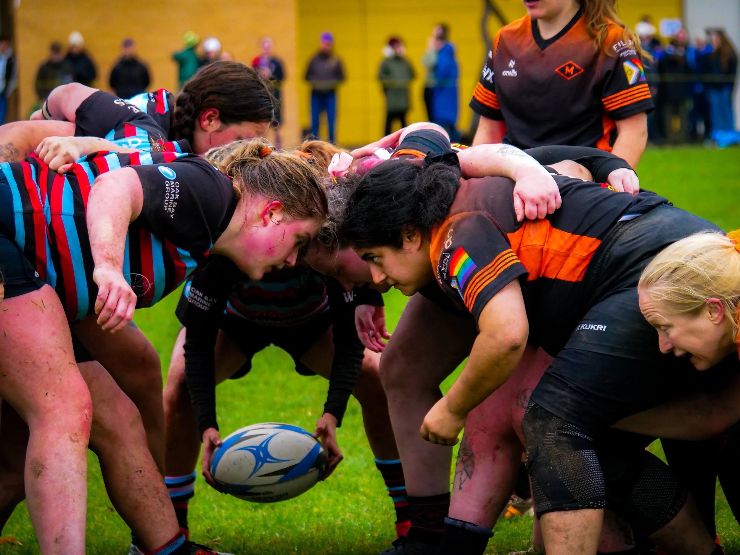 Rugby players in a scrum on the field with spectators in the background.