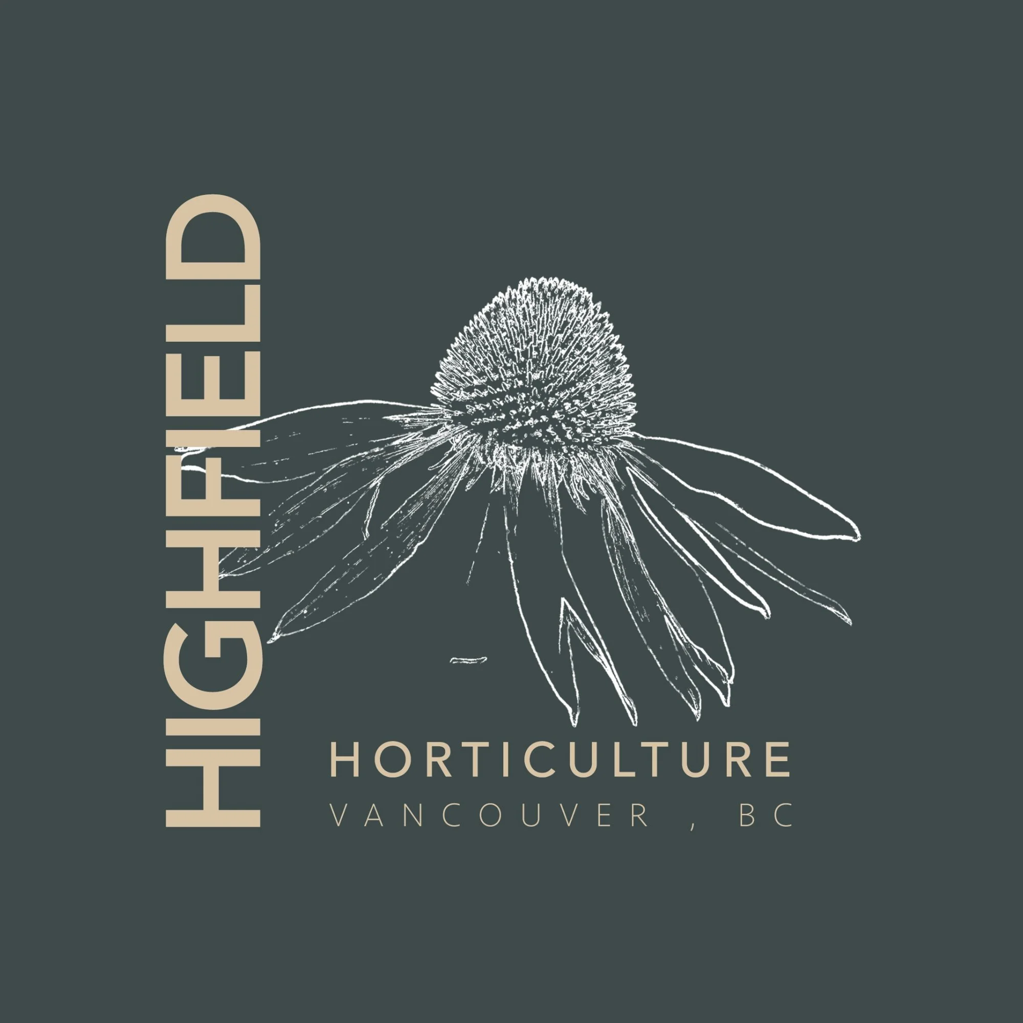 Logo for Highfield Horticulture with a sketch of a coneflower and text indicating location in Vancouver, BC.