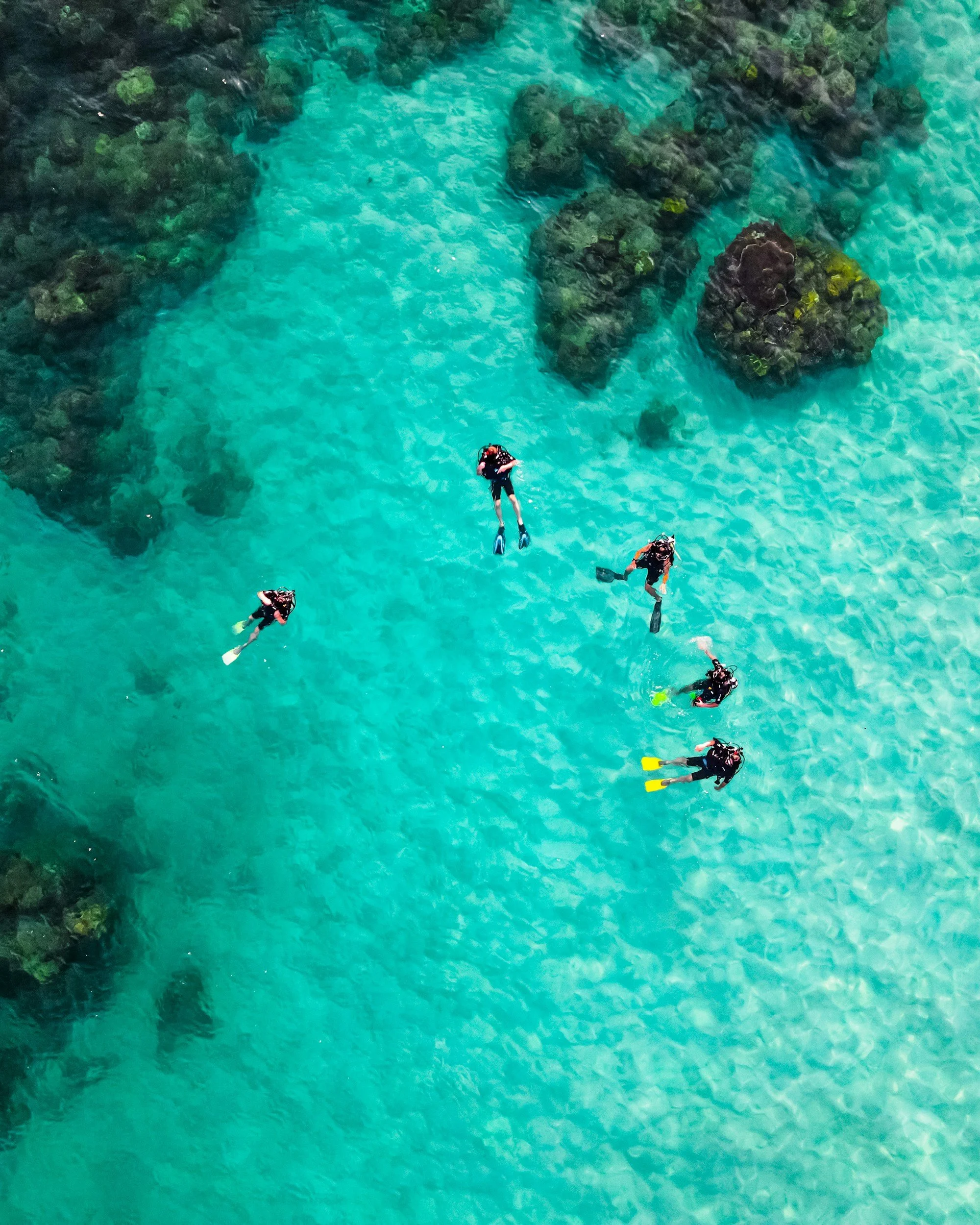 Group of five people snorkeling in clear blue water near rocks.