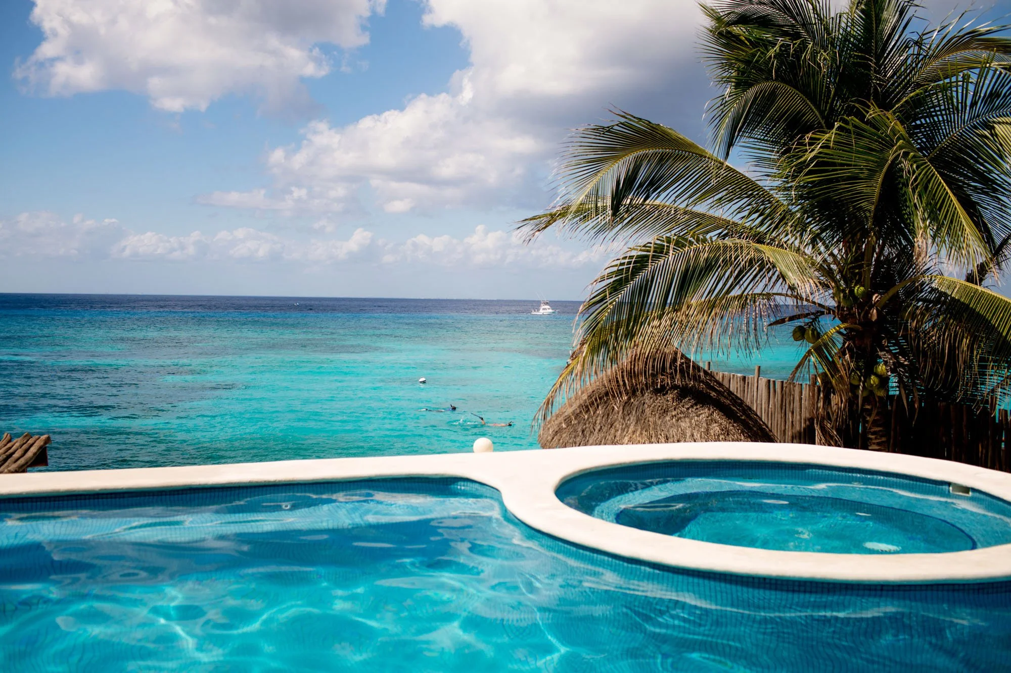 View of the ocean with a tropical beach, a palm tree, and a hot tub in the foreground.