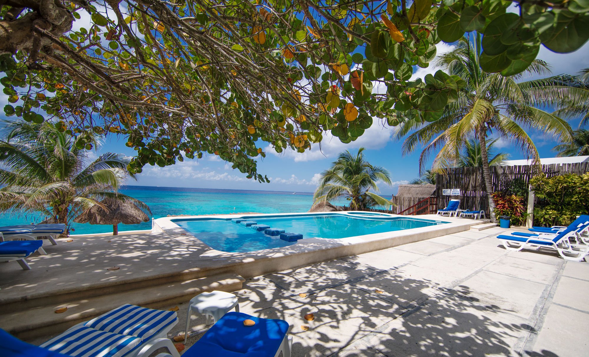 Poolside view with blue lounge chairs and umbrellas, tropical trees with green leaves, and ocean in the background under a partly cloudy sky.