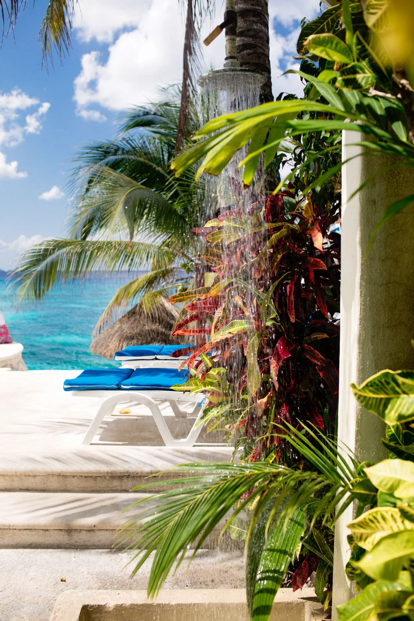 Beachside scene with a waterfall feature, tropical plants, and a view of the ocean with a blue sky.