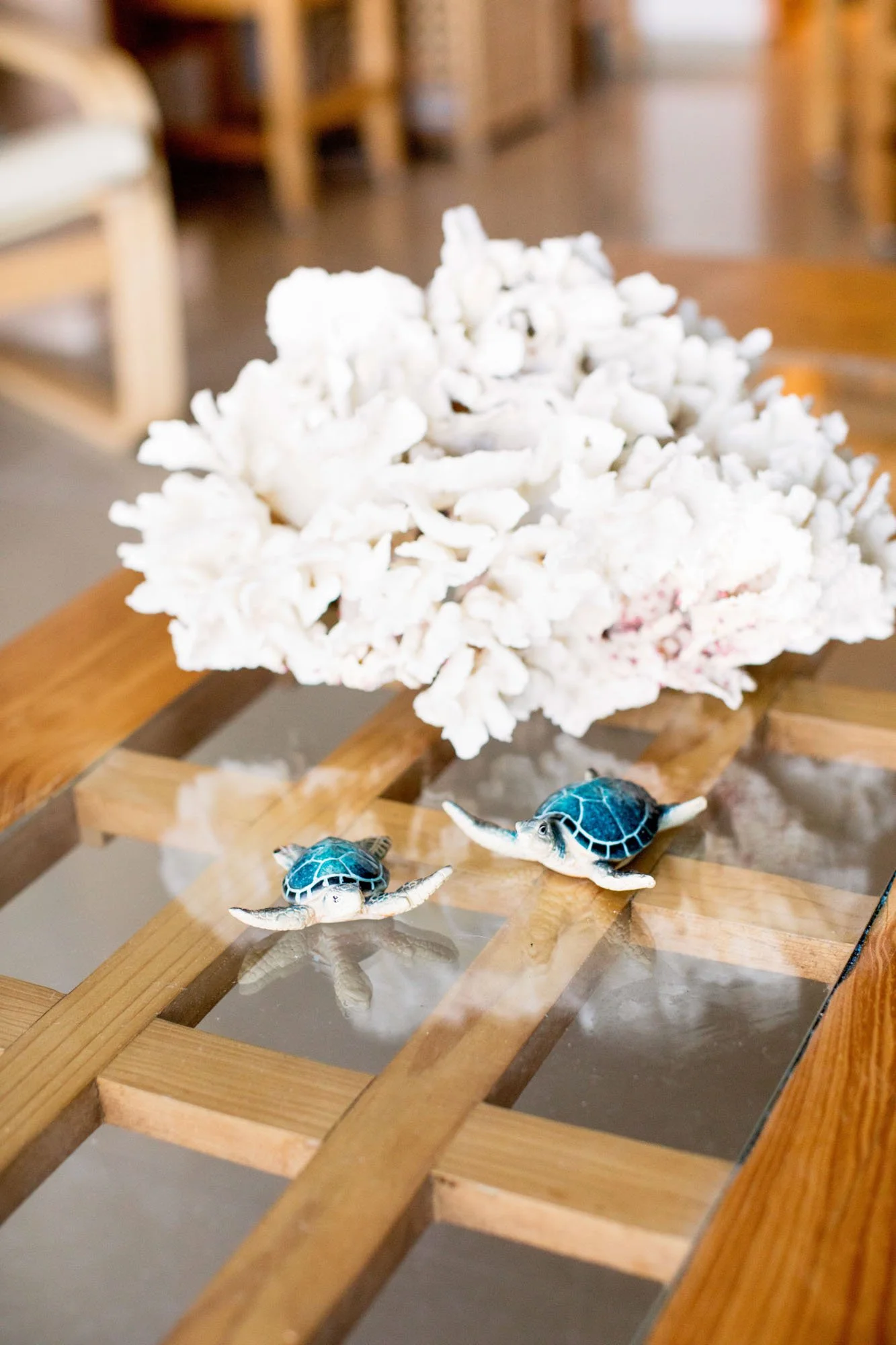 Decorative white coral centerpiece with two small blue turtles on a wooden table with glass panes.