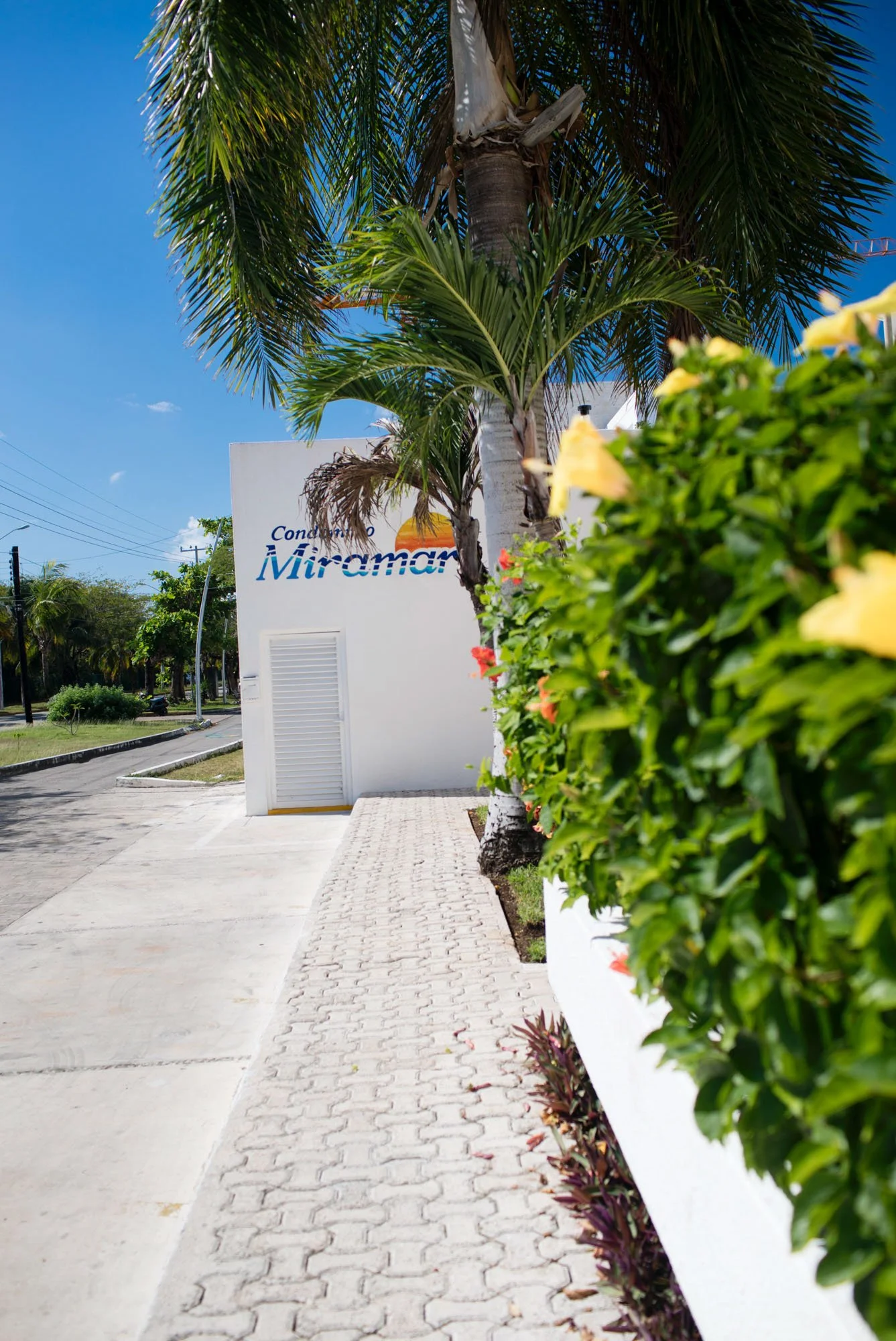 A pathway lined with flowering bushes and palm trees leads to a white building with a sign that reads 'Condominio Miramar' under a bright blue sky.