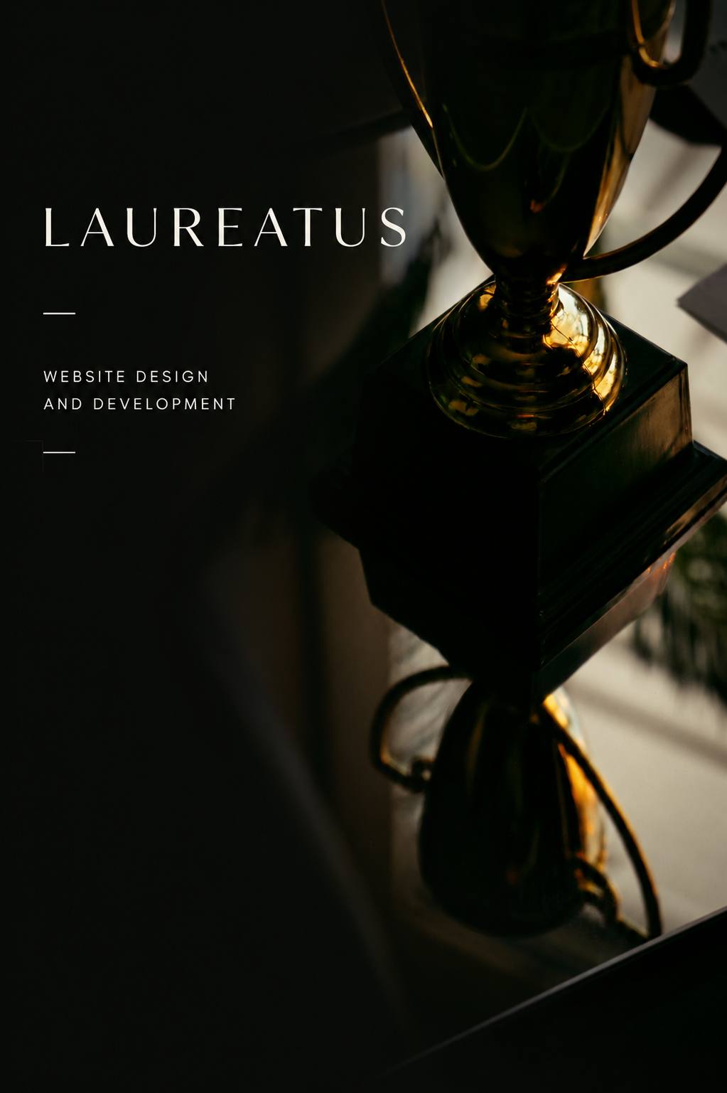 VIEW WEBSITE