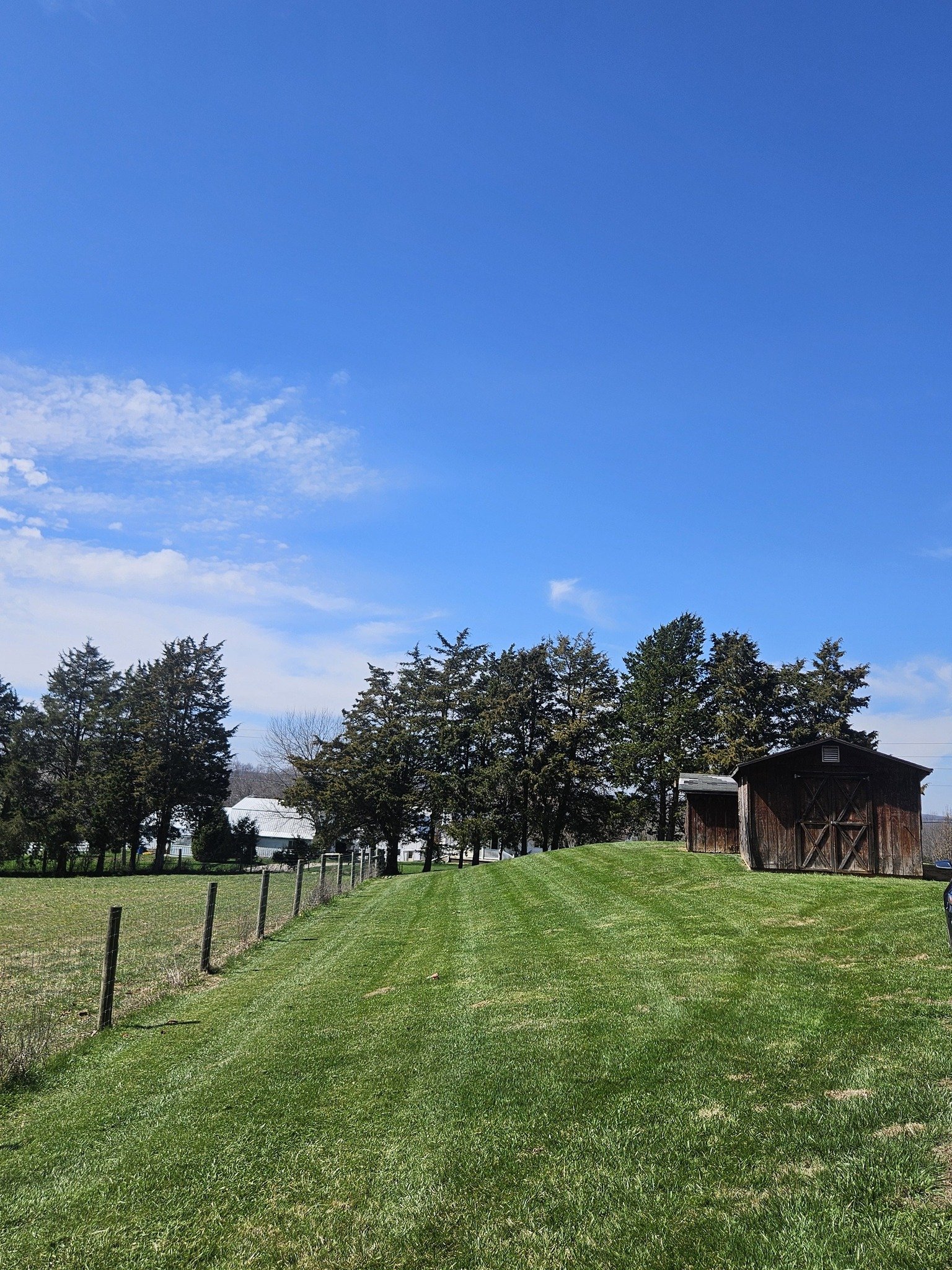 A grassy field with a fenced area on the left, a group of trees in the background, and a wooden barn on the right under a bright blue sky.