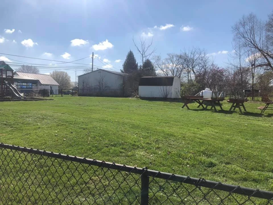 A grassy backyard with a chain-link fence in the foreground, a small playground on the left, a white shed and a large white shed or barn in the background, with trees and a blue sky with some clouds.