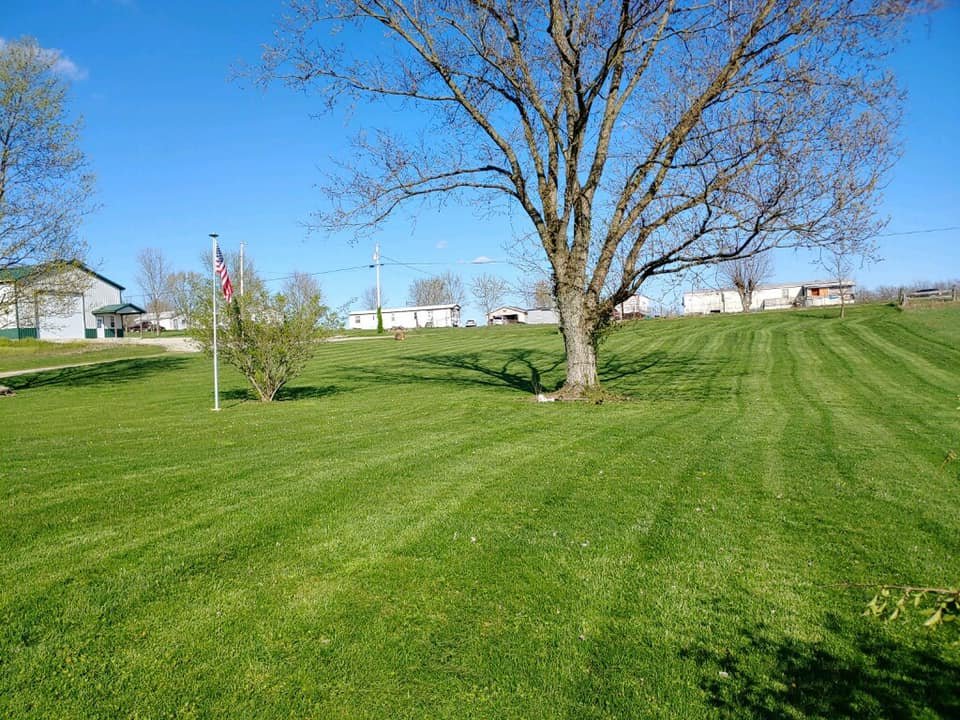 A grassy field with a large leafless tree, a smaller bush, and an American flag on a pole. There are houses and buildings in the background under a clear blue sky.