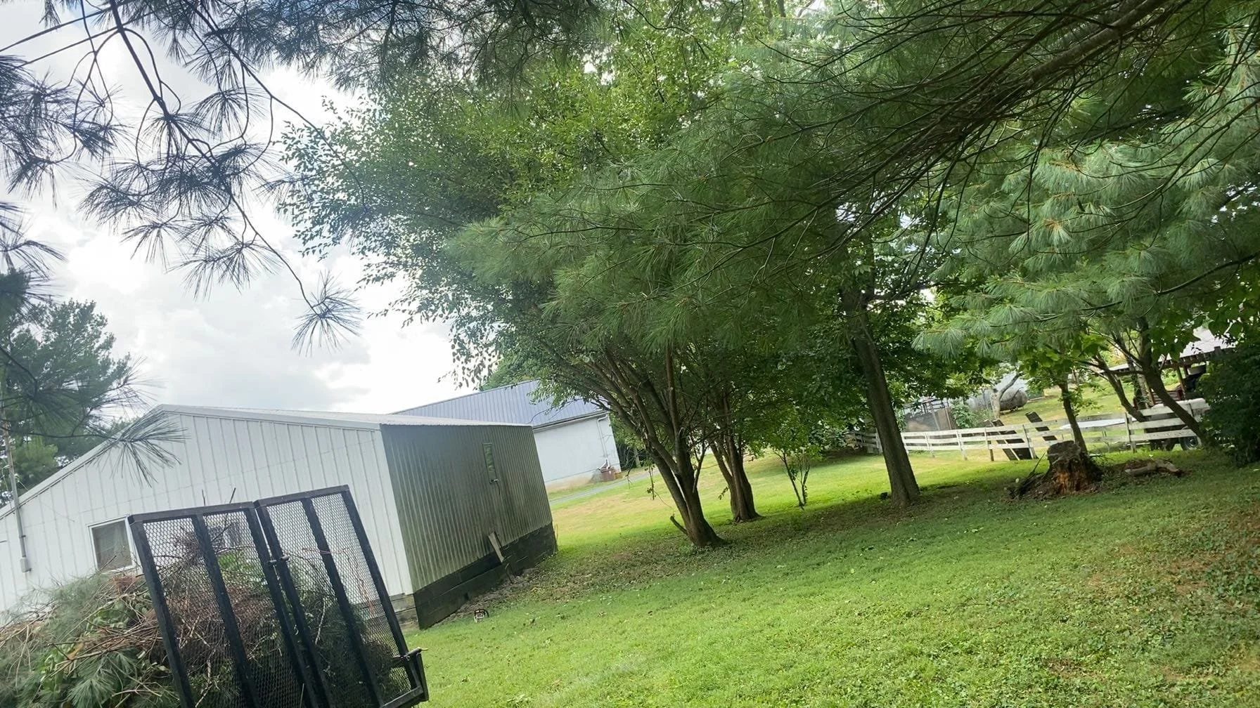 A grassy yard with several trees and a white metal building. There is a black metal cart or shed in the foreground and a white fence in the background.