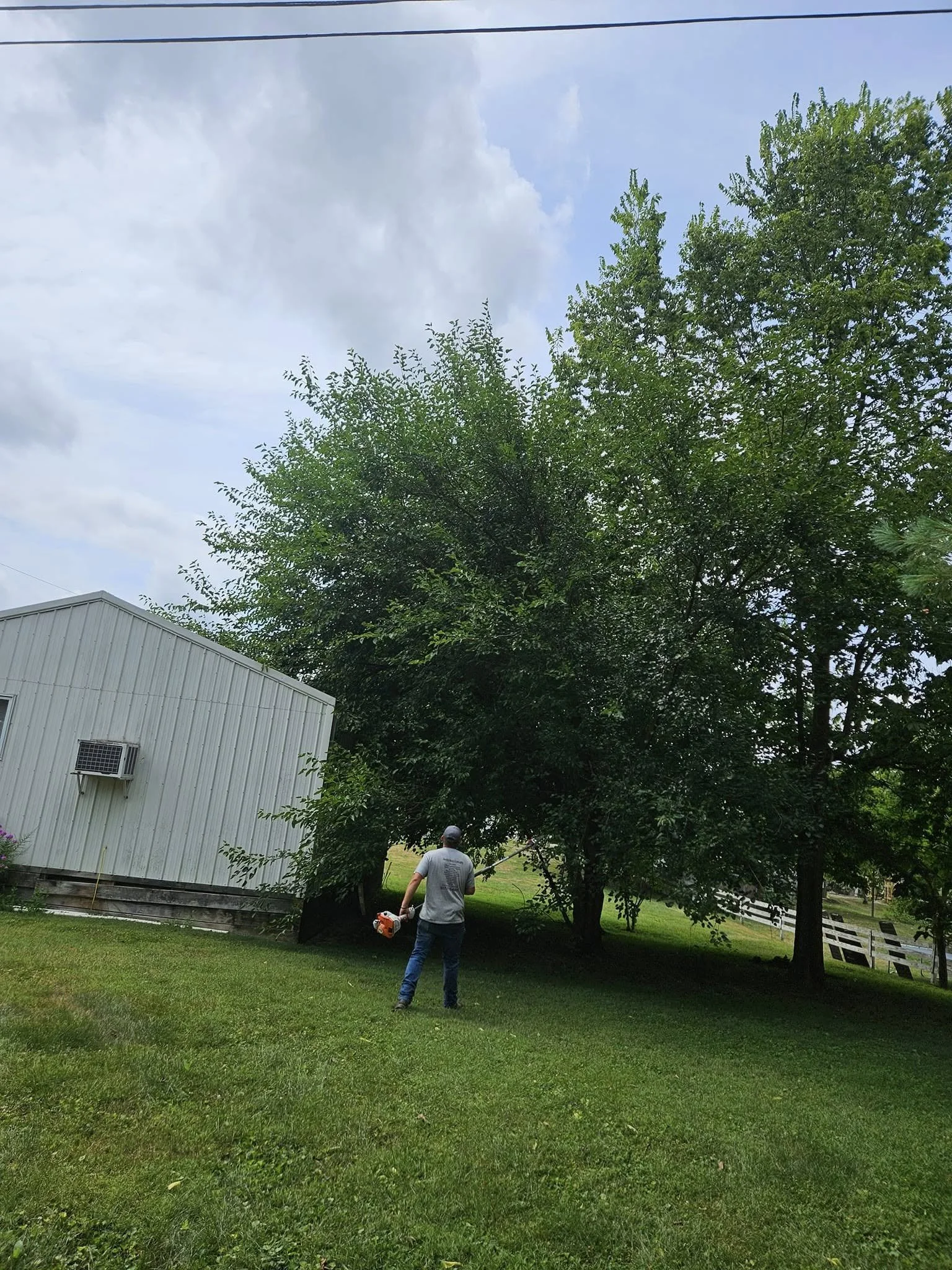 A person using a string trimmer to trim grass near large trees and a white building with an air conditioning unit on the wall in a grassy backyard.