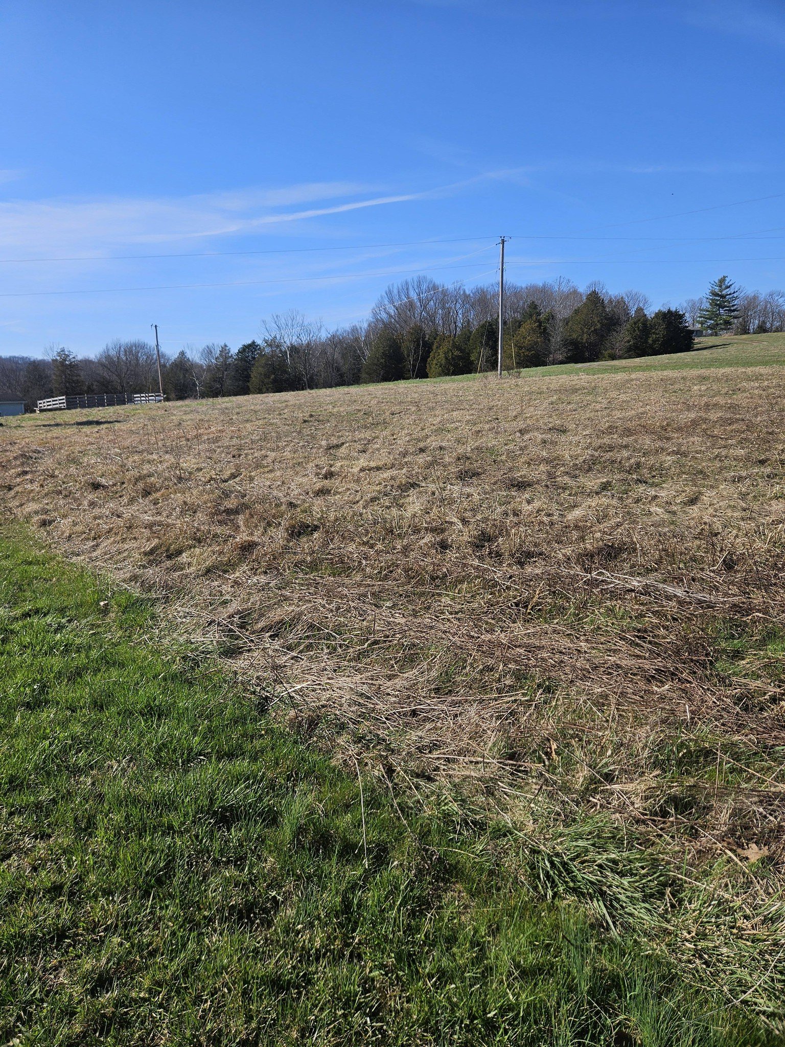 A rural landscape with a grassy foreground, a dry brown field, and trees in the background under a blue sky.