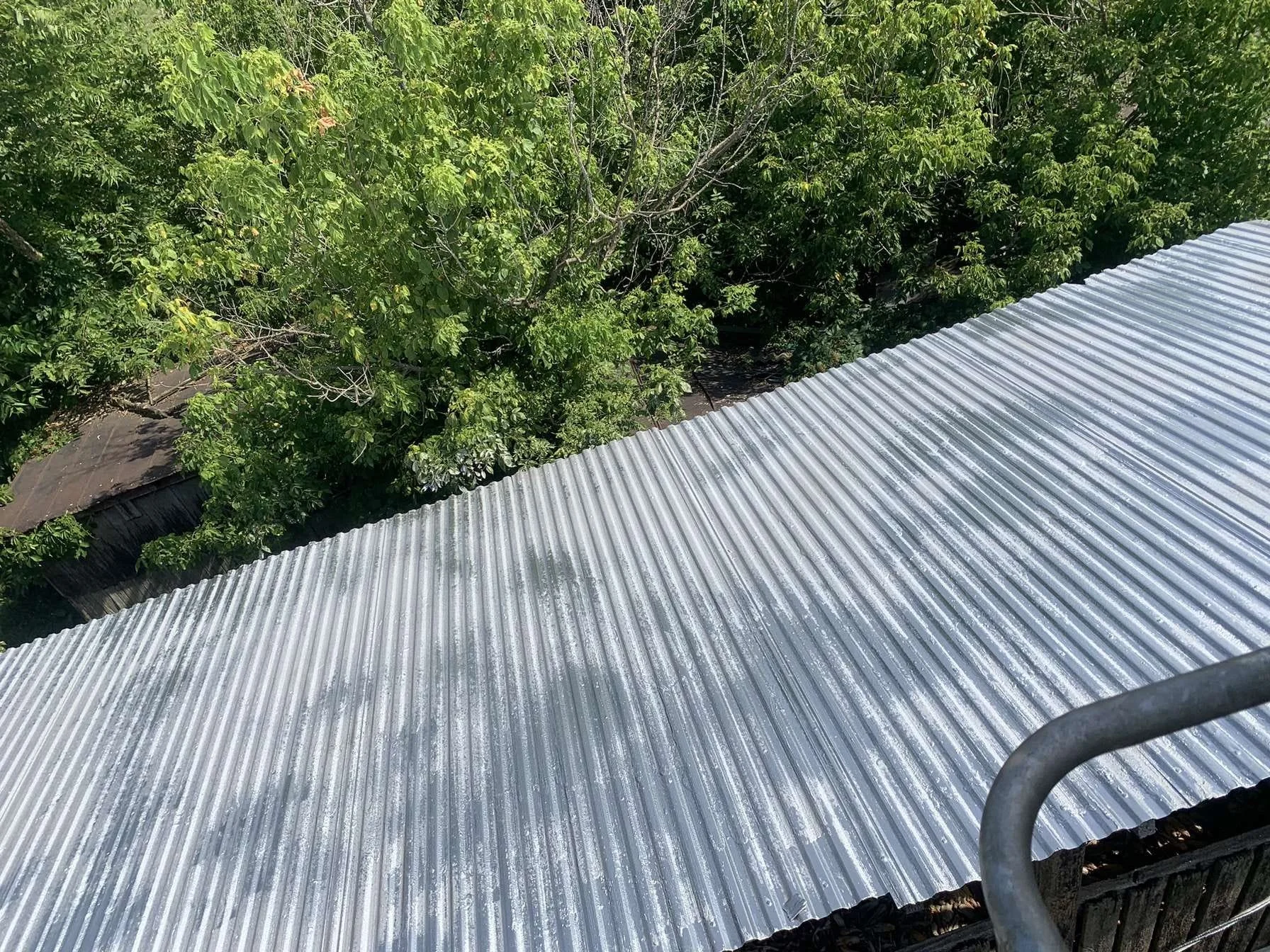 A corrugated metal roof with some water droplets on it, viewed from a high angle. Green trees are visible in the background.