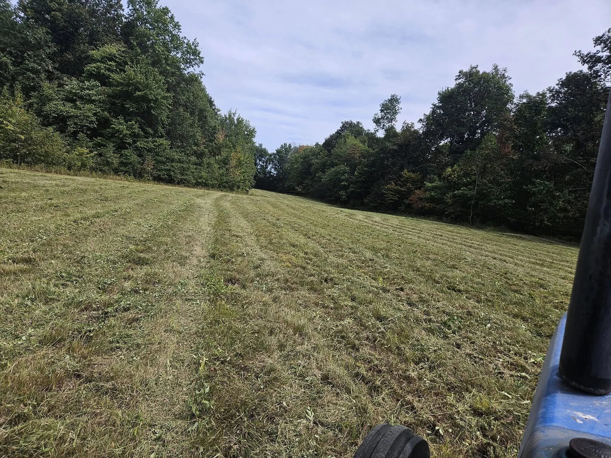 View of a grassy field with tire tracks, surrounded by trees under a partly cloudy sky, taken from a vehicle or equipment.
