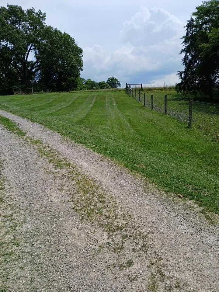 A gravel driveway next to a well-maintained grassy area with a fence on one side, trees in the background, and a cloudy sky overhead.