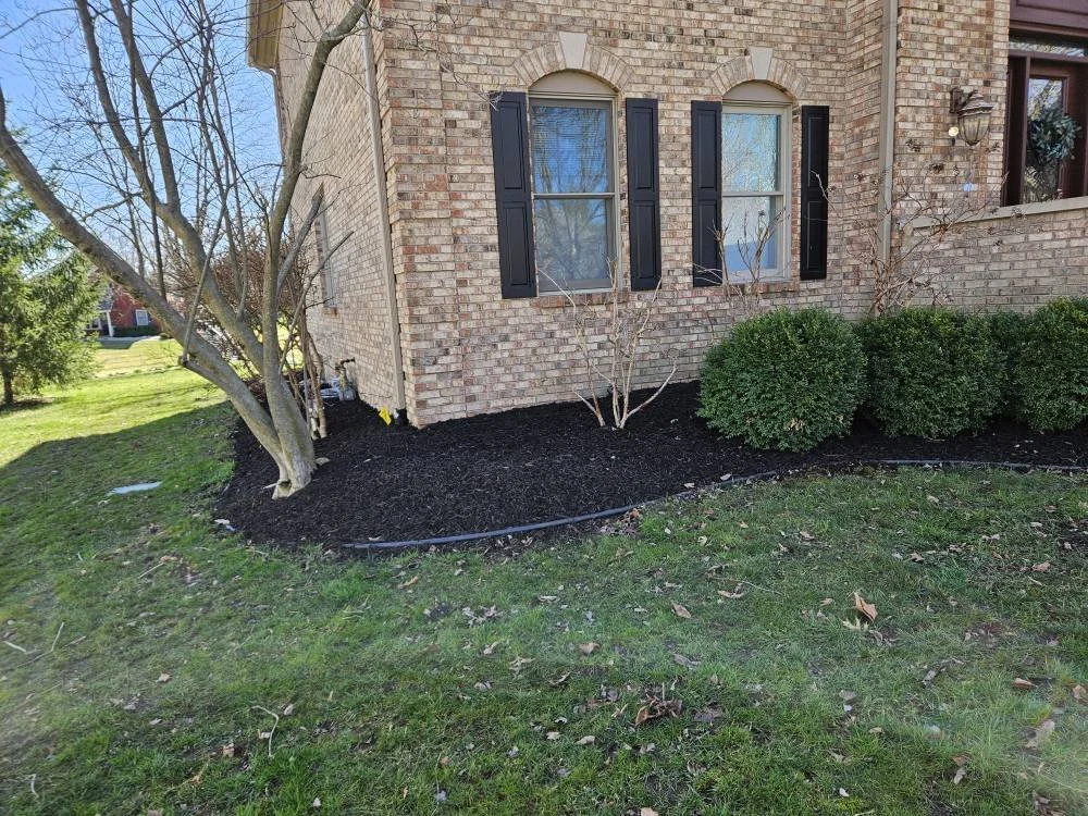 Landscape view of the side of a brick house with a small garden bed, freshly mulched, with a tree, bare shrubs, and three green bushes in front of two arched windows with black shutters.