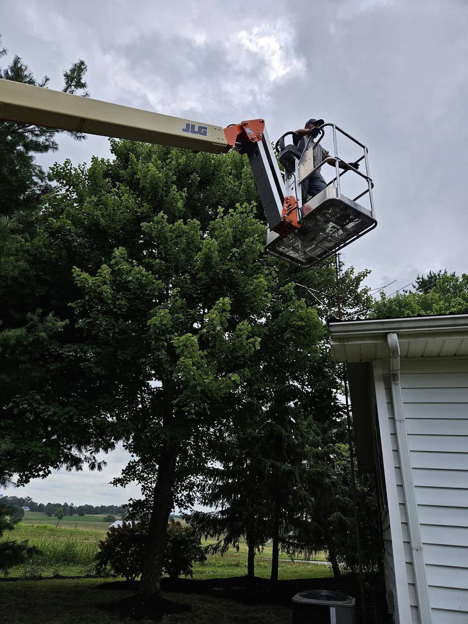 A worker operating a boom lift near the roof of a house, cutting or trimming a tall tree with green foliage.