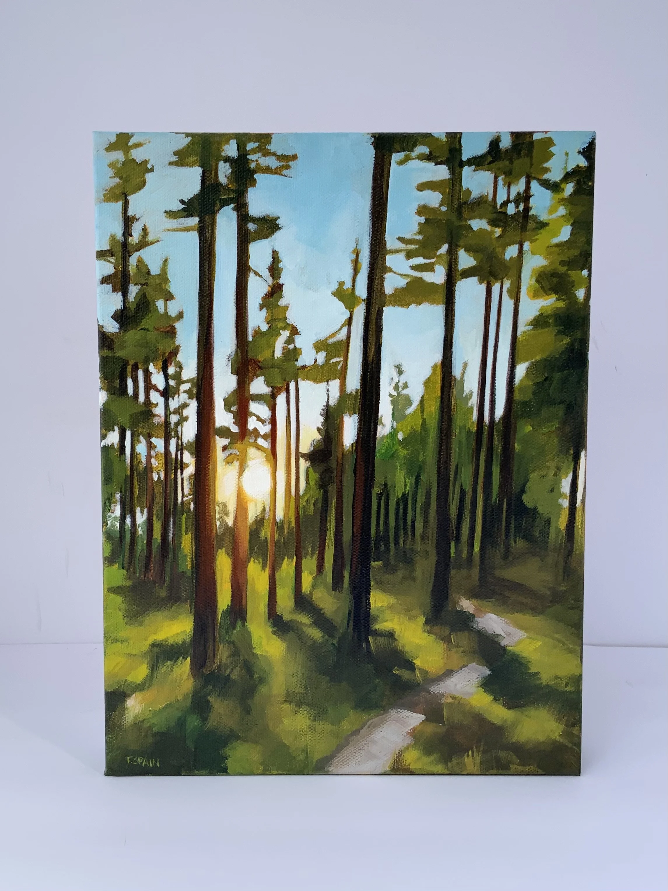 IMG_2431.jpeg