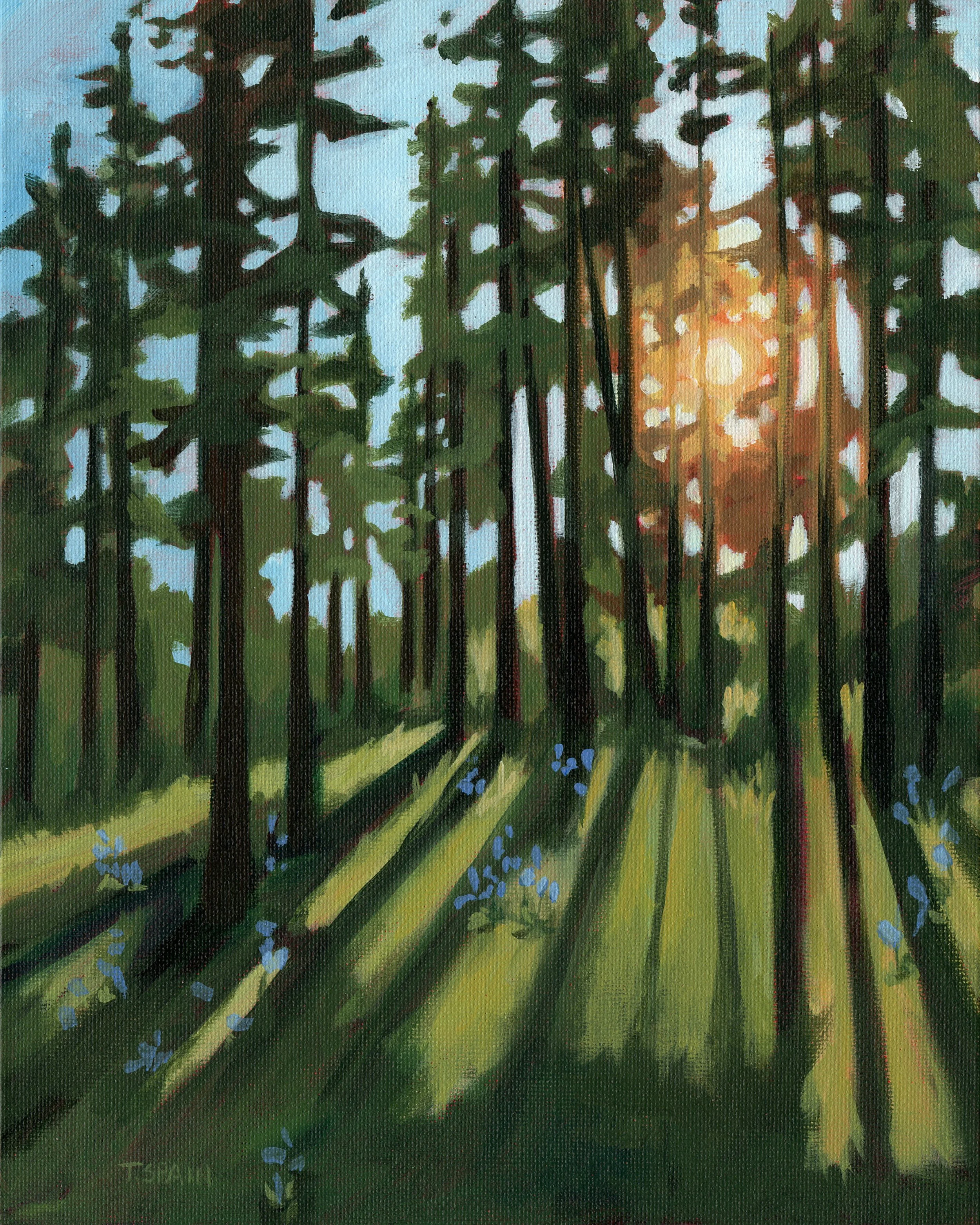 sunlit-trees-forest-woods-wildflowers-original-painting.jpg
