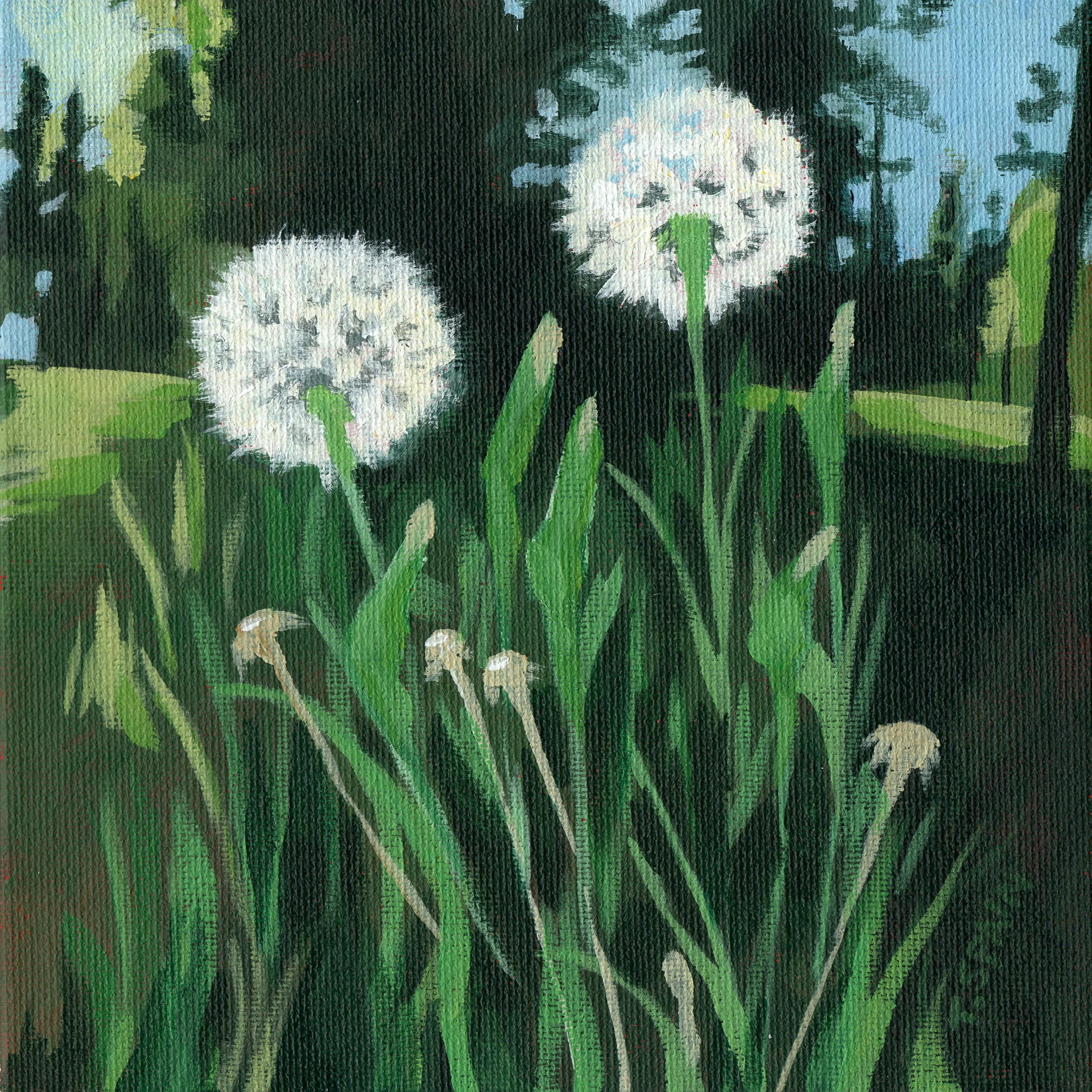dandelion-seeds-landscape-green-original-square-painting.jpg
