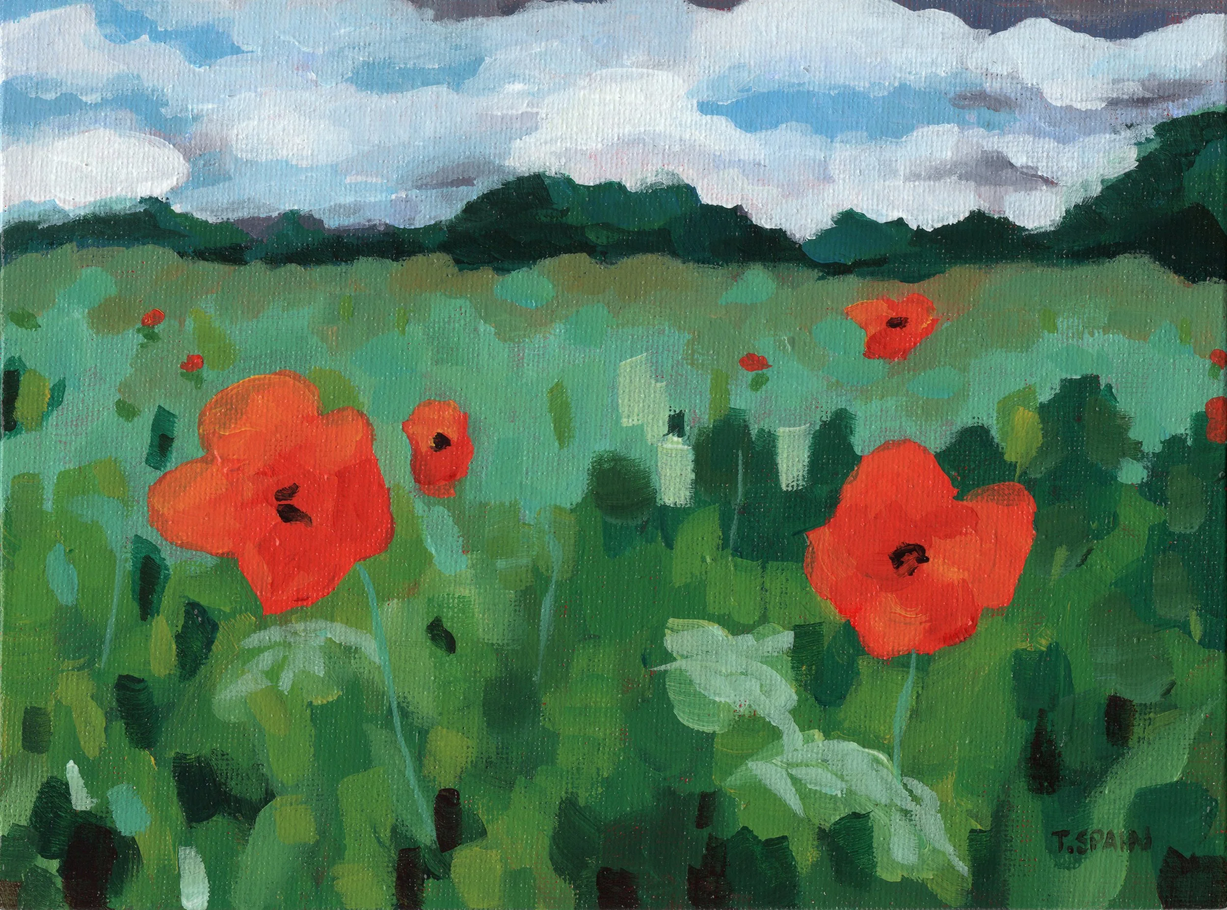 Poppies