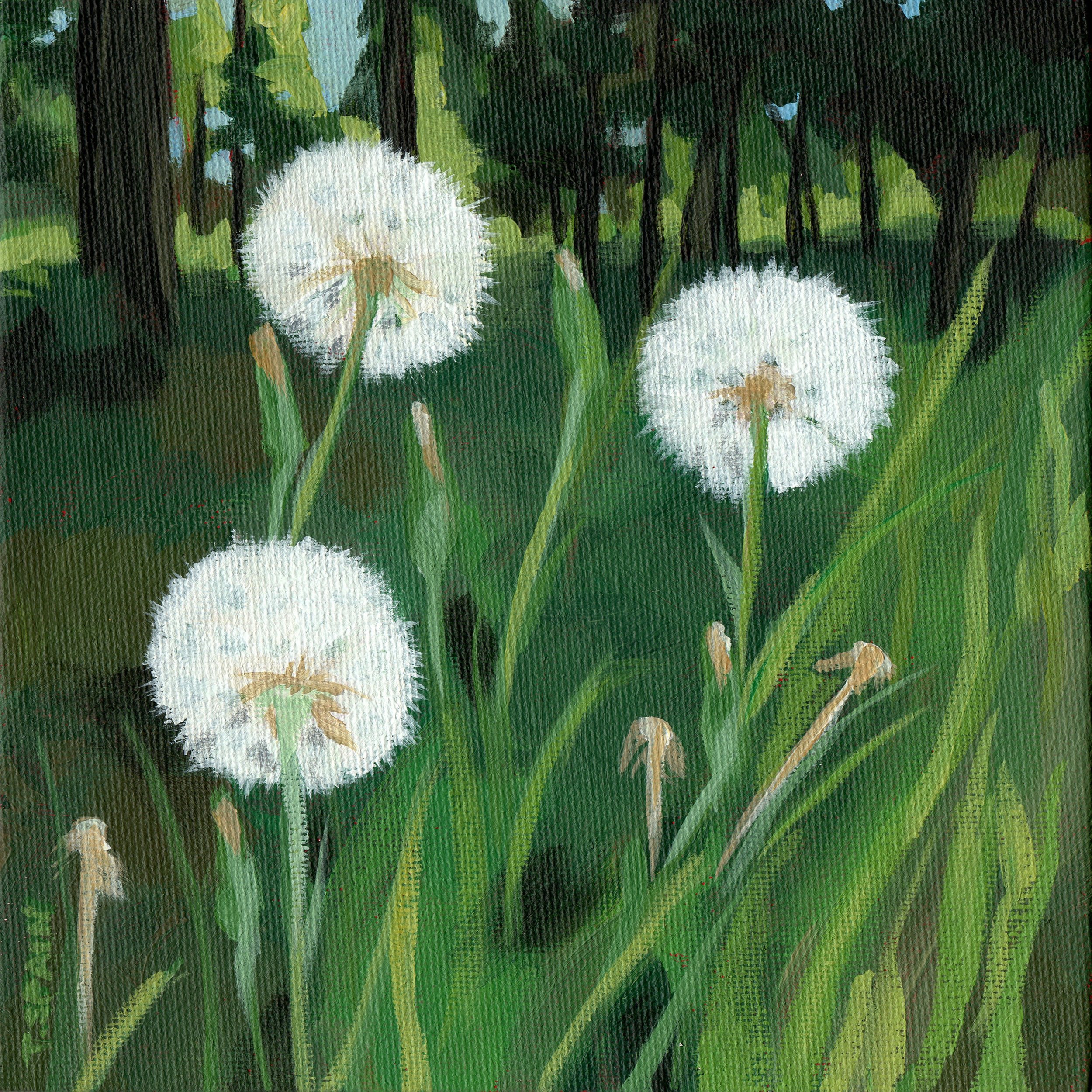 seeds-wildflowers-dandelions-green-square-painting.jpg