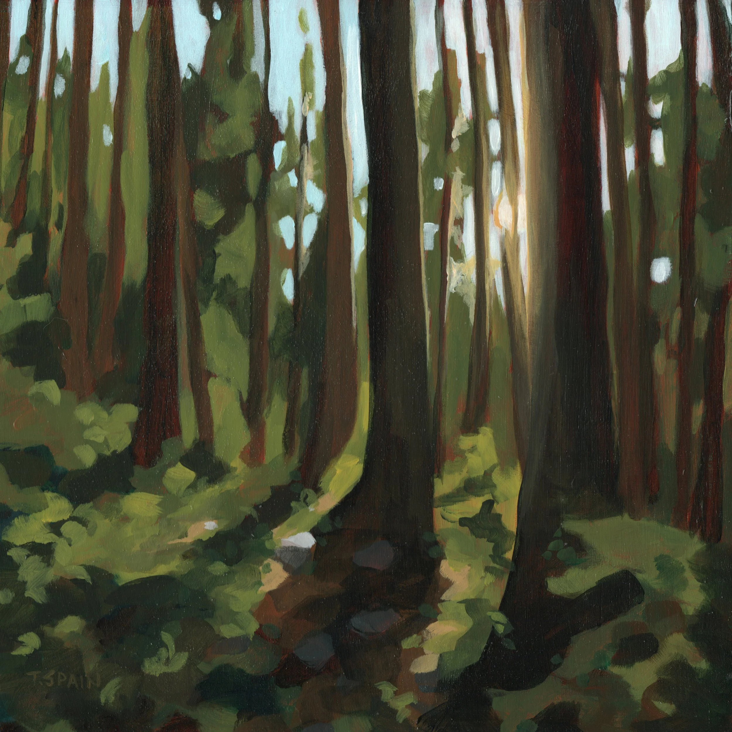 sunlight-trees-forest-trail-square-original-painting.jpg