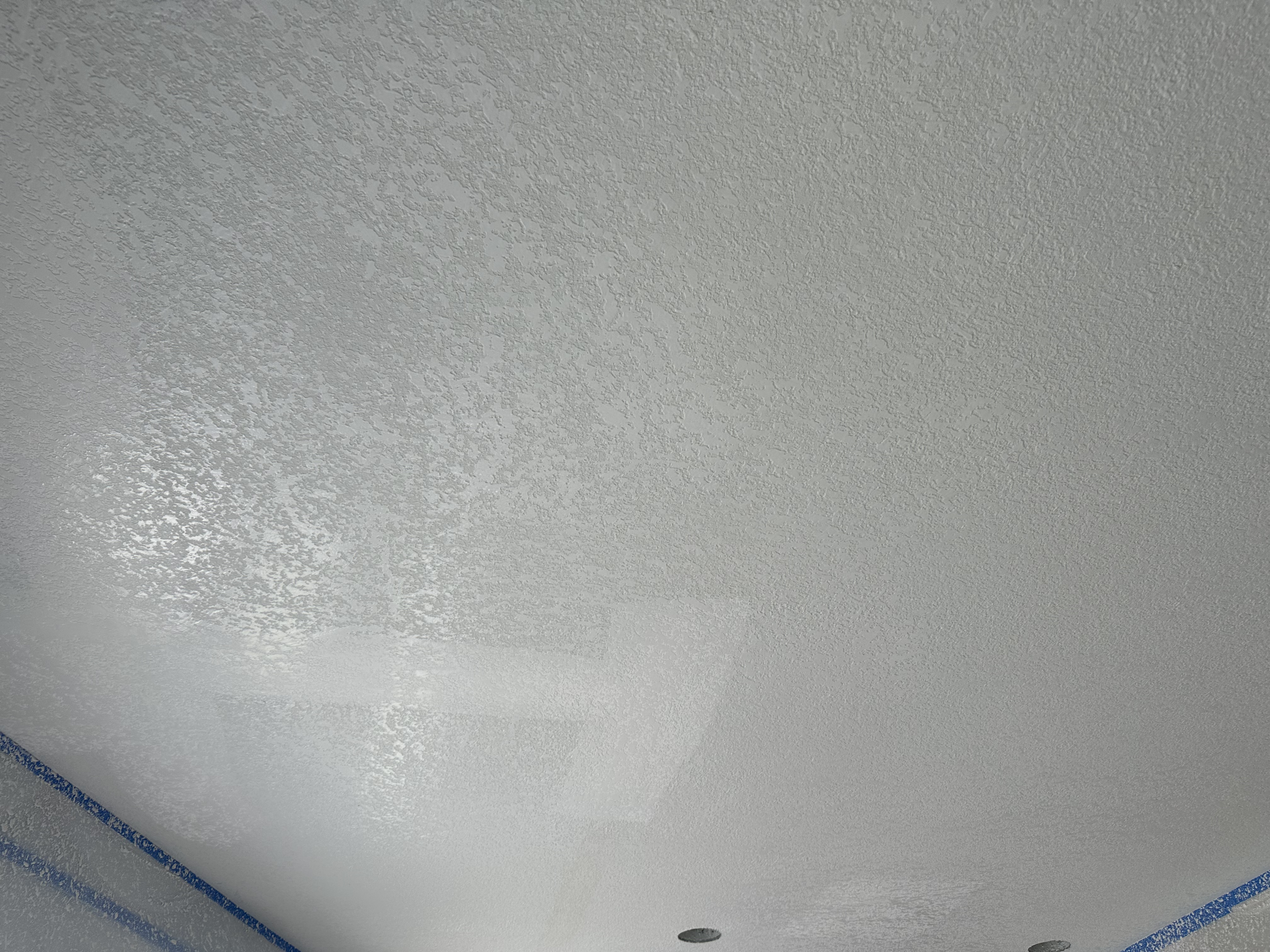 IMG_1282-1774463681364.png