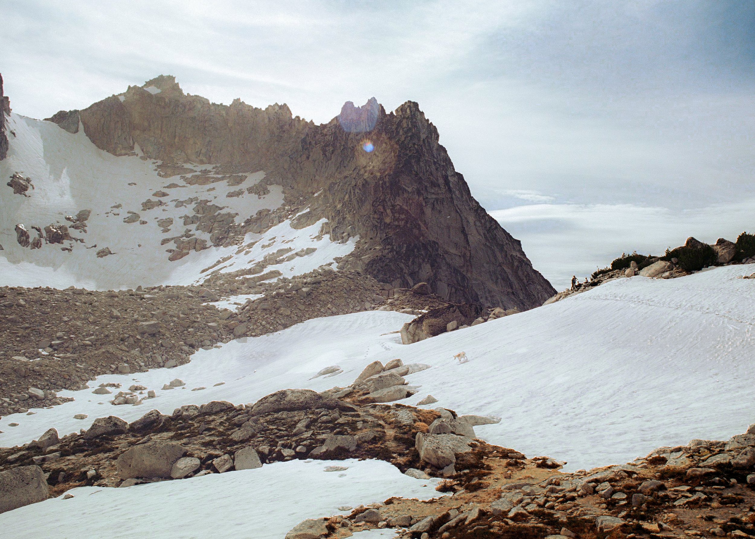 Scan25370-2.jpg