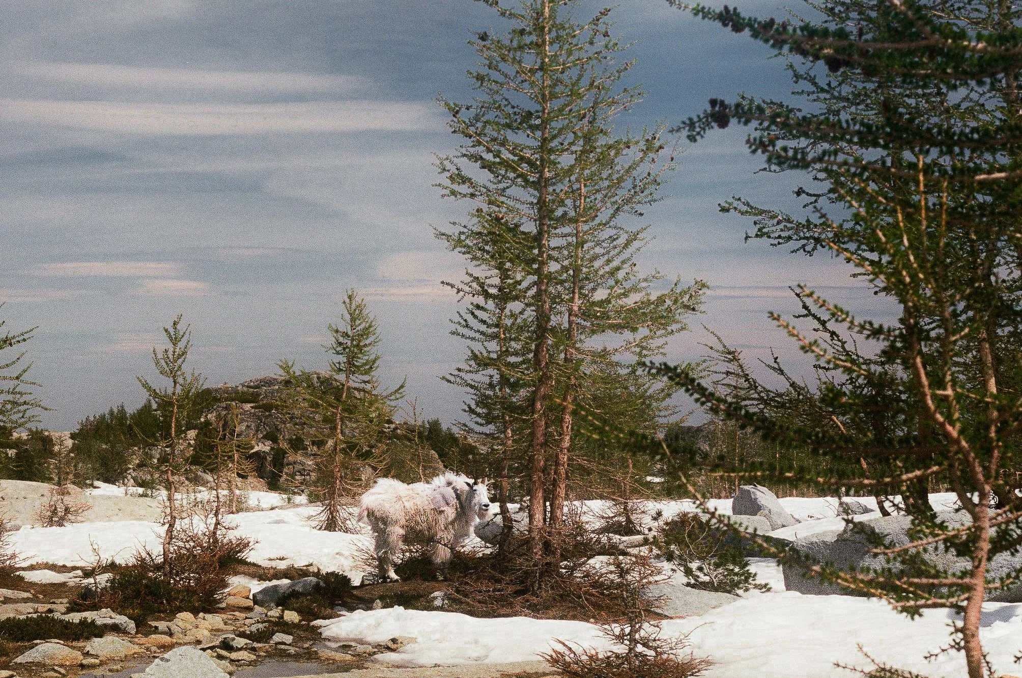 Scan25382-3.jpg