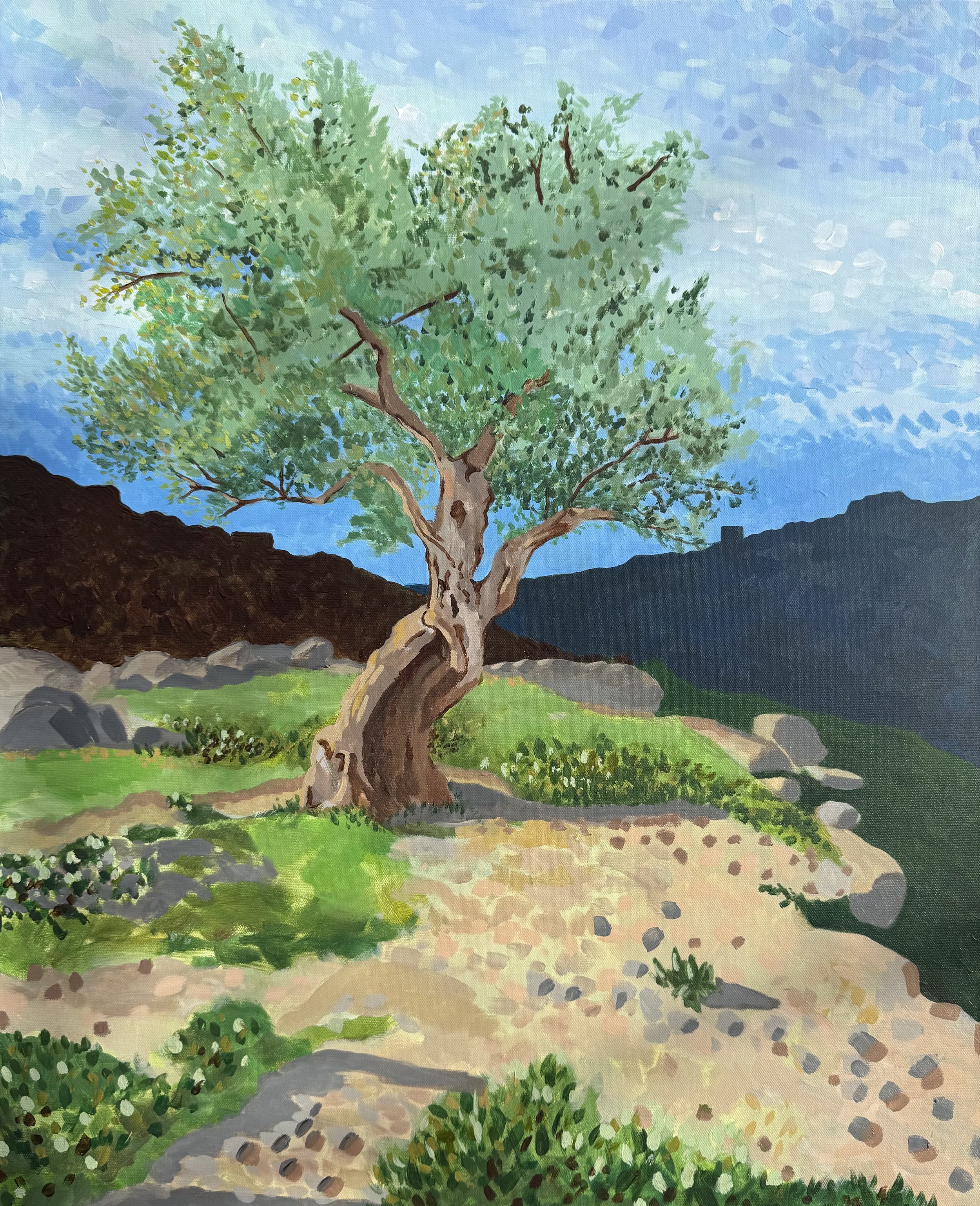 2026_OliveTree.jpg
