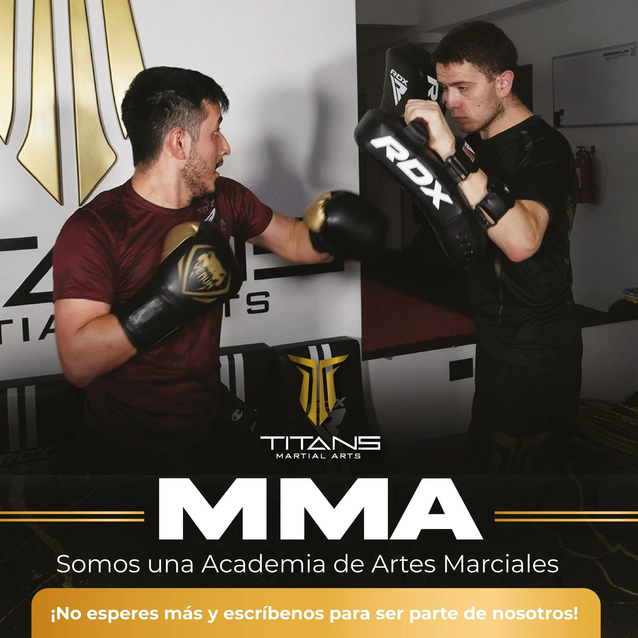 MMA / KickBoxing