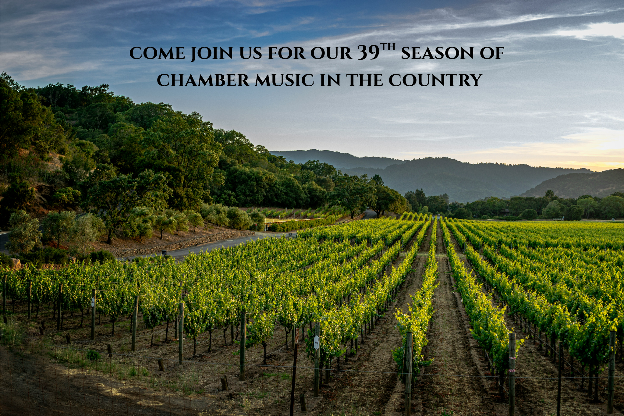 homepage winery final.png