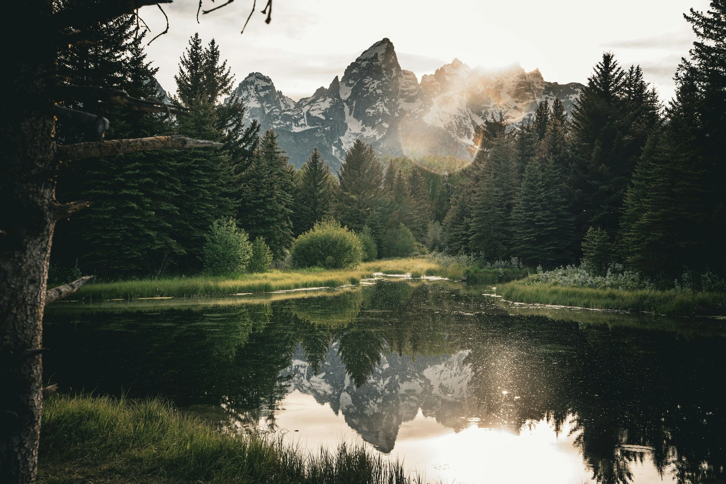Mountain lake and forest reflection representing reflective therapy at Hardy Roots Psychotherapy.