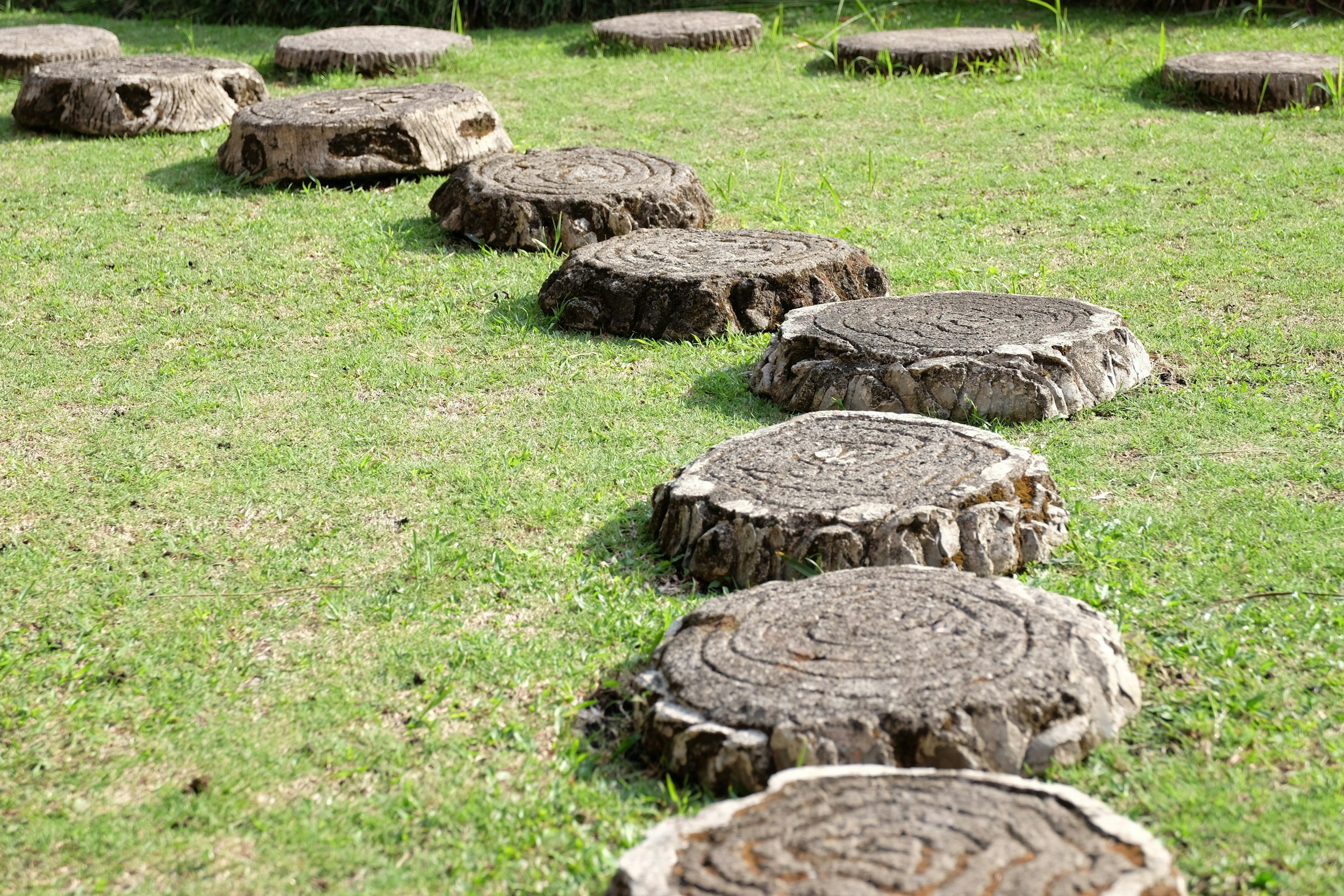 A path of tree-stump stepping stones across a grassy landscape.