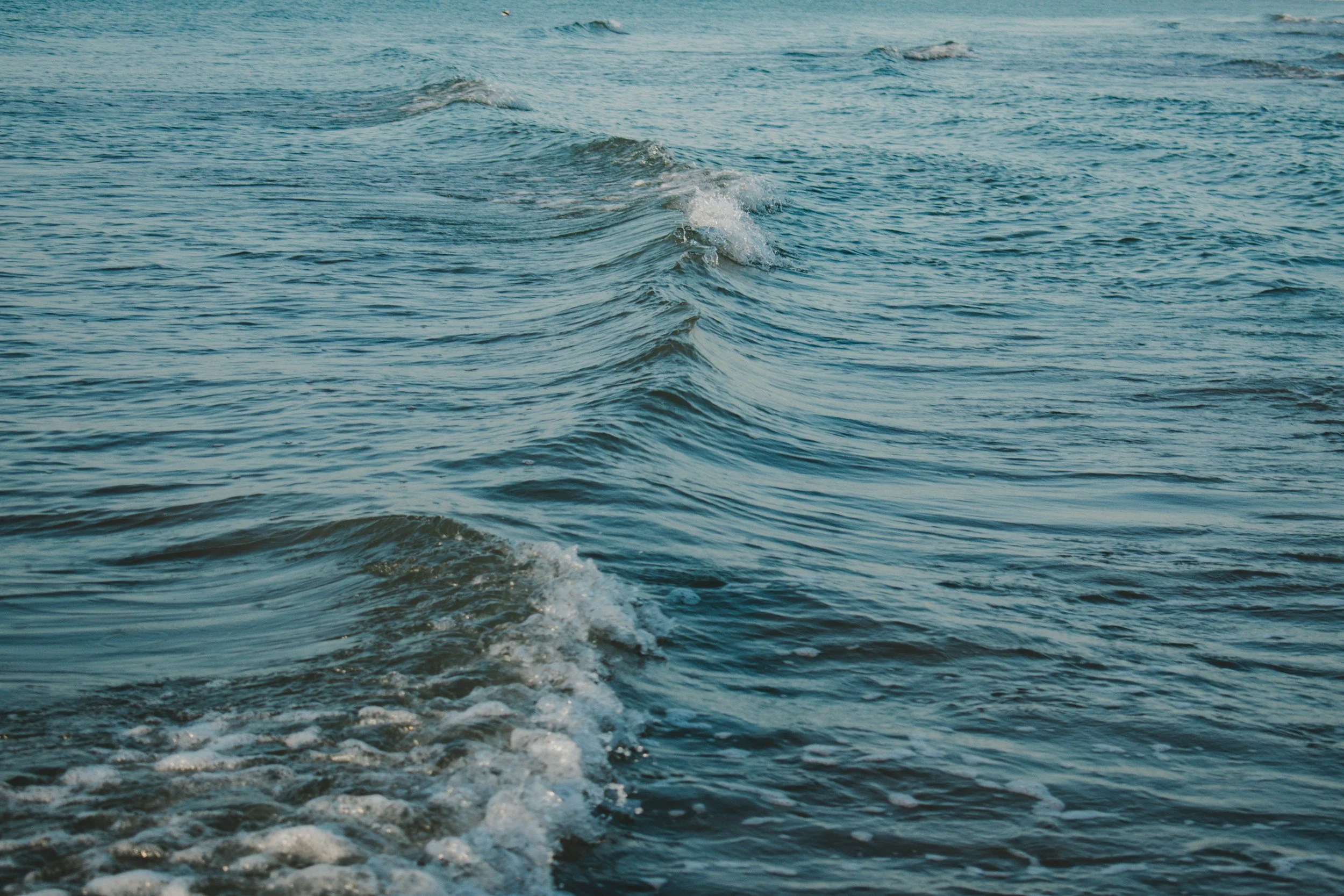 Gentle ocean waves moving across blue water.