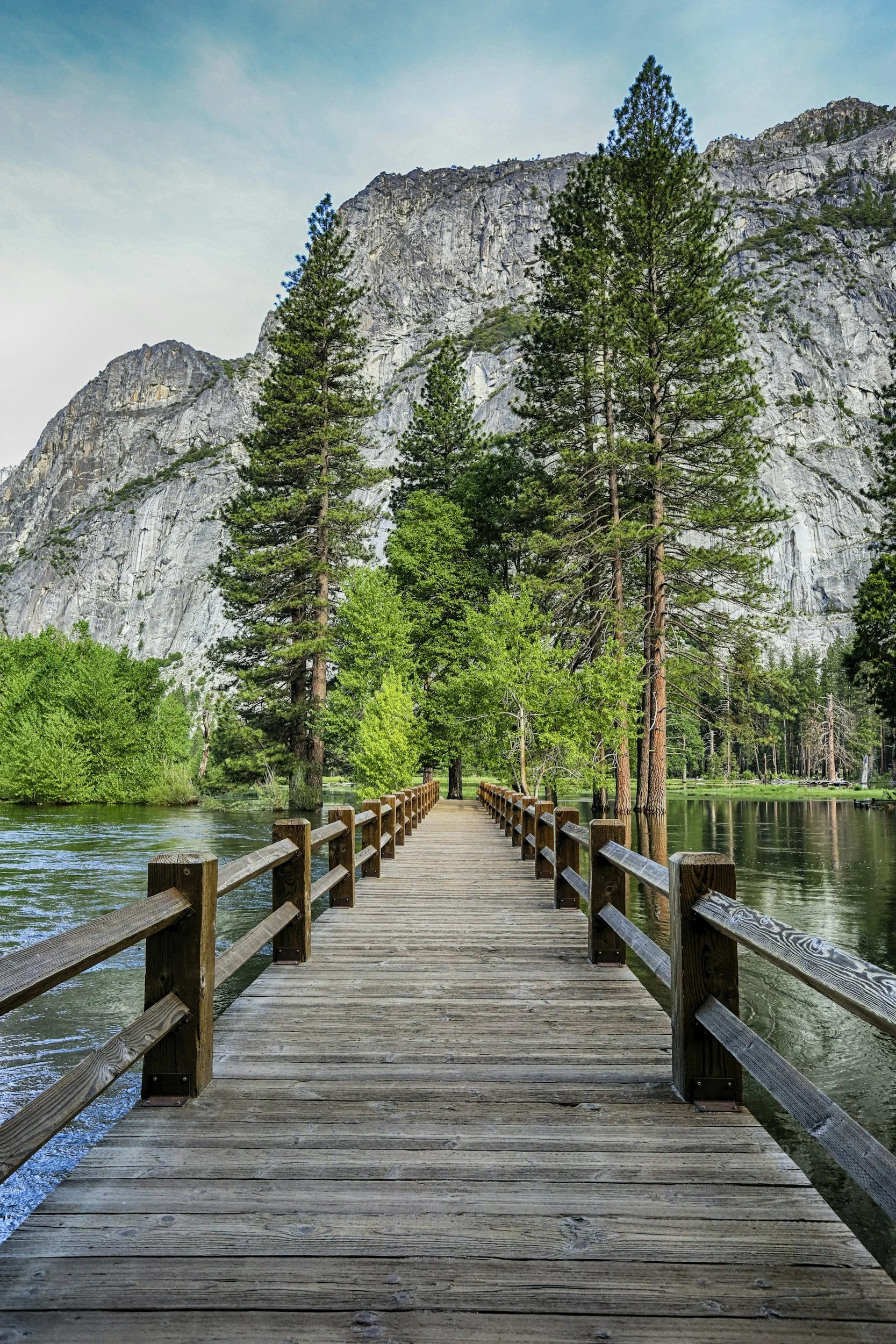 A wooden bridge leading through tall trees toward mountains and water.