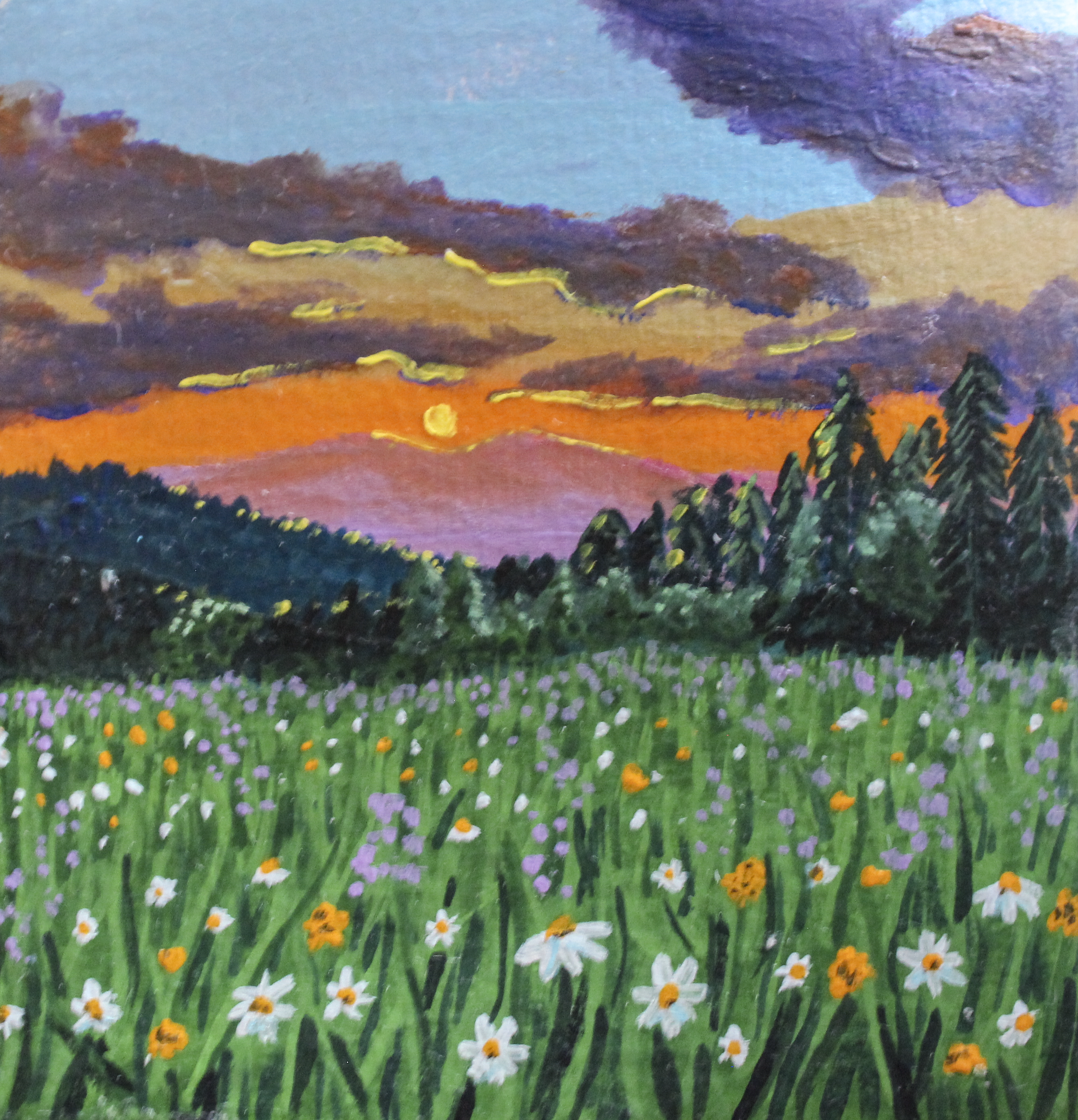 meadow.png