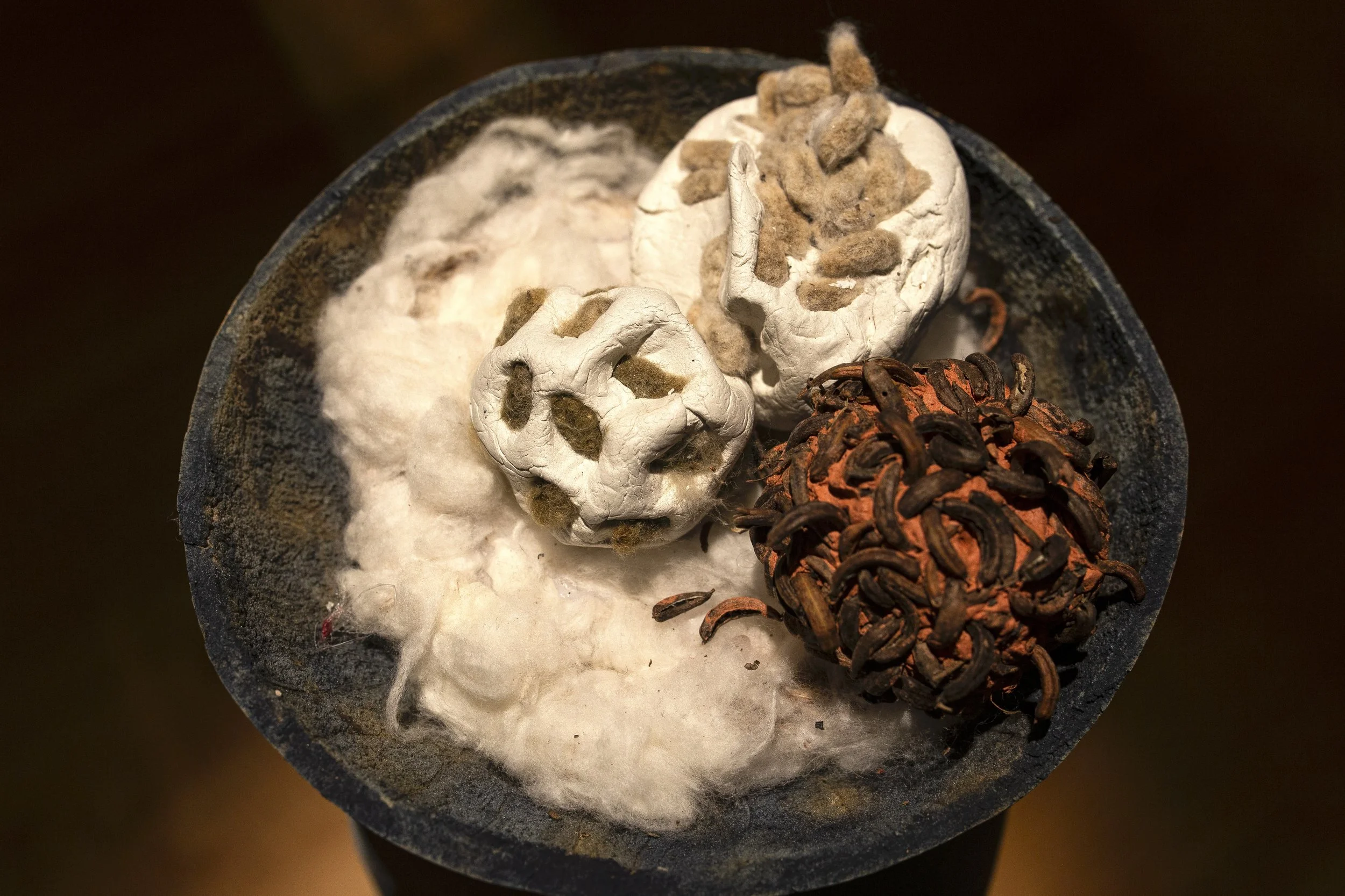 10_ Seed Bombs_LaChaun Moore.jpg