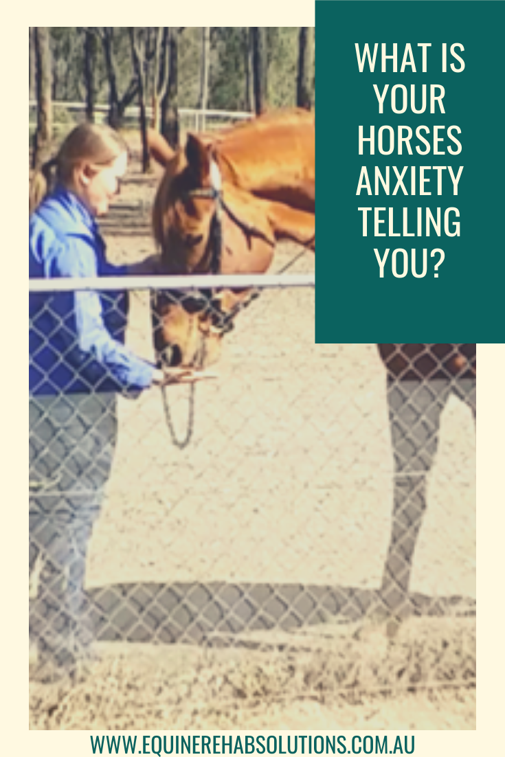 What is your horses anxiety telling you?