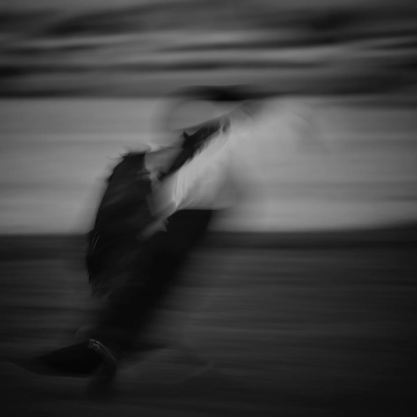 Dance around the cygnets No 8
.
It&rsquo;s been o er 5 weeks and there are still 5 cygnets in my local swans clutch. They are much bigger now and getting used to all the humans around them at the parklands. 
.
Canon eos r5 mk ii
RF 100-500mm f4.5-7.1