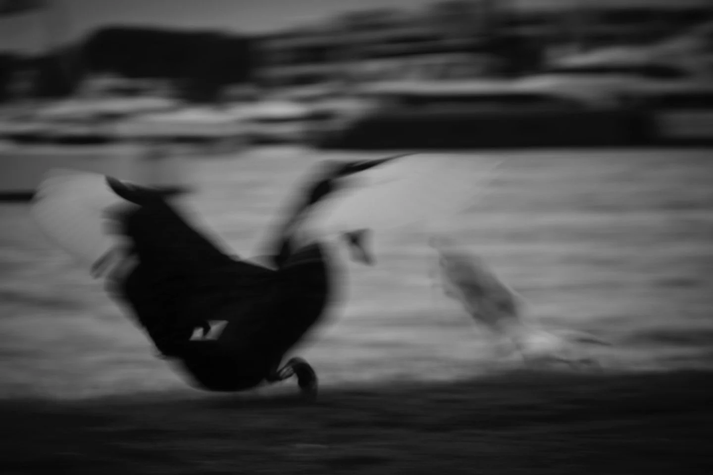 Dance around the cygnets No 6
.
Canon eos r5 mk ii
RF 100-500mm f4.5-7.1L is usm
.
#swan #swans #cygnet #blackandwhitephotography #blackandwhite #blackandwhitephotographylovers #artphotography #bnw #bnw_captures #bnwphotography #bnwart