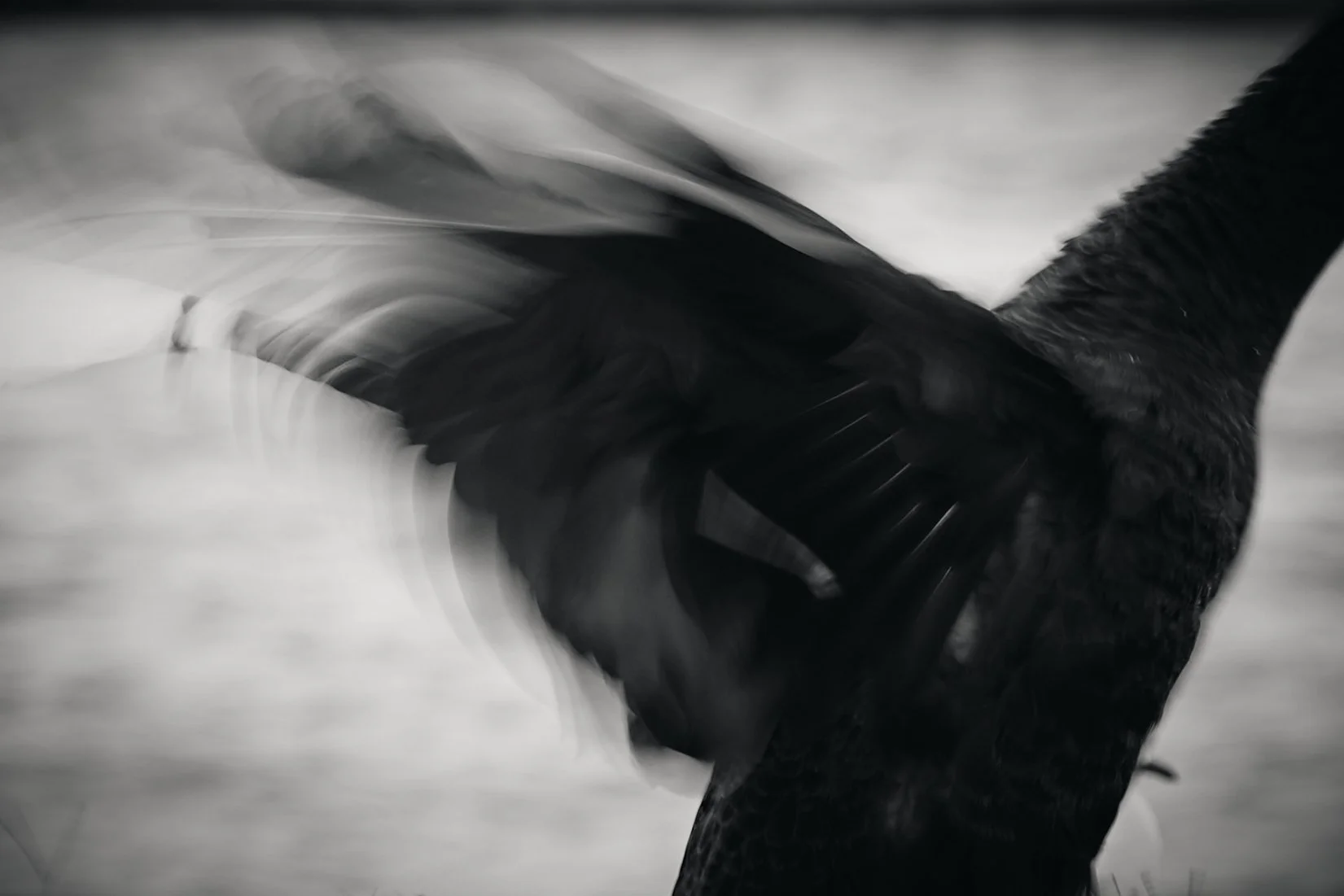 A close-up of two hands shaking, one wearing a black glove and the other bare, with a blurred background.