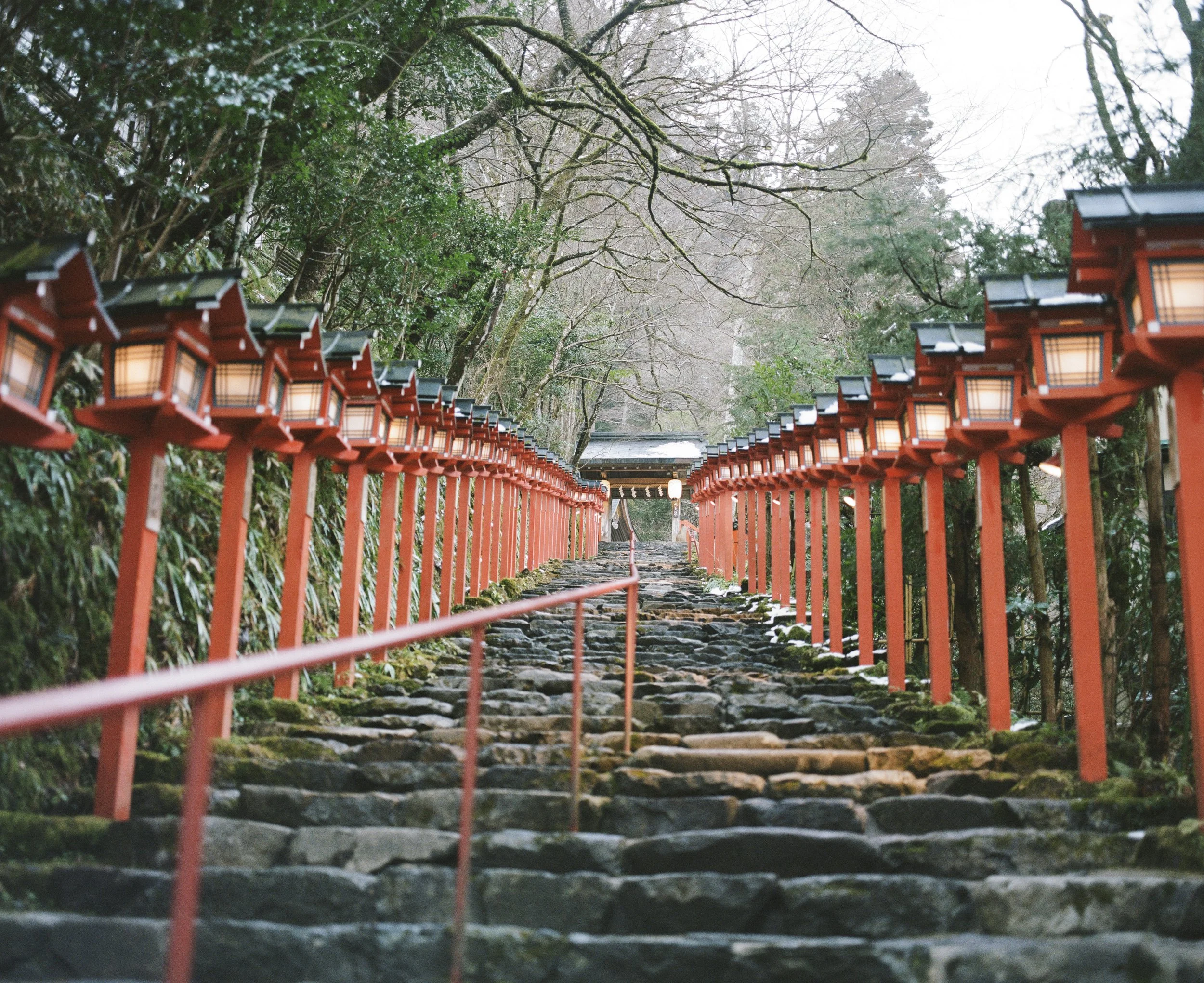 Stone steps leading uphill with red torii gates and lanterns, surrounded by trees.