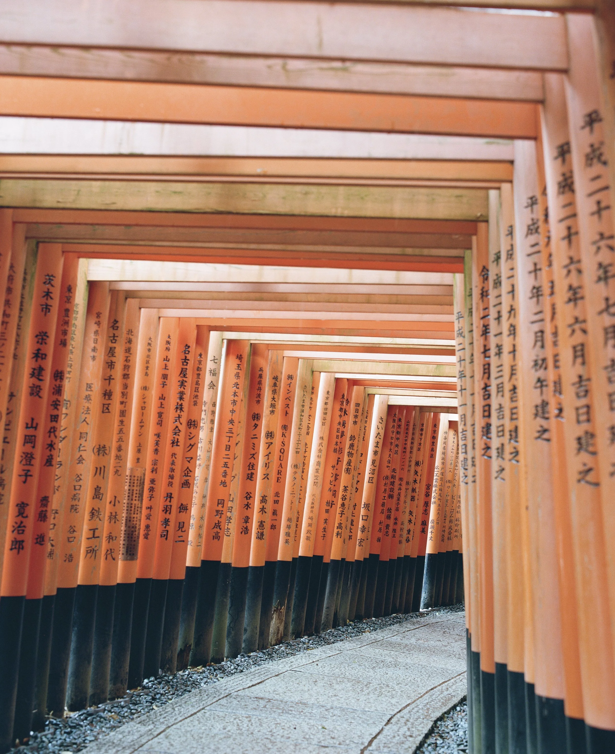 A pathway lined with numerous orange torii gates at Fushimi Inari Shrine, Japan.