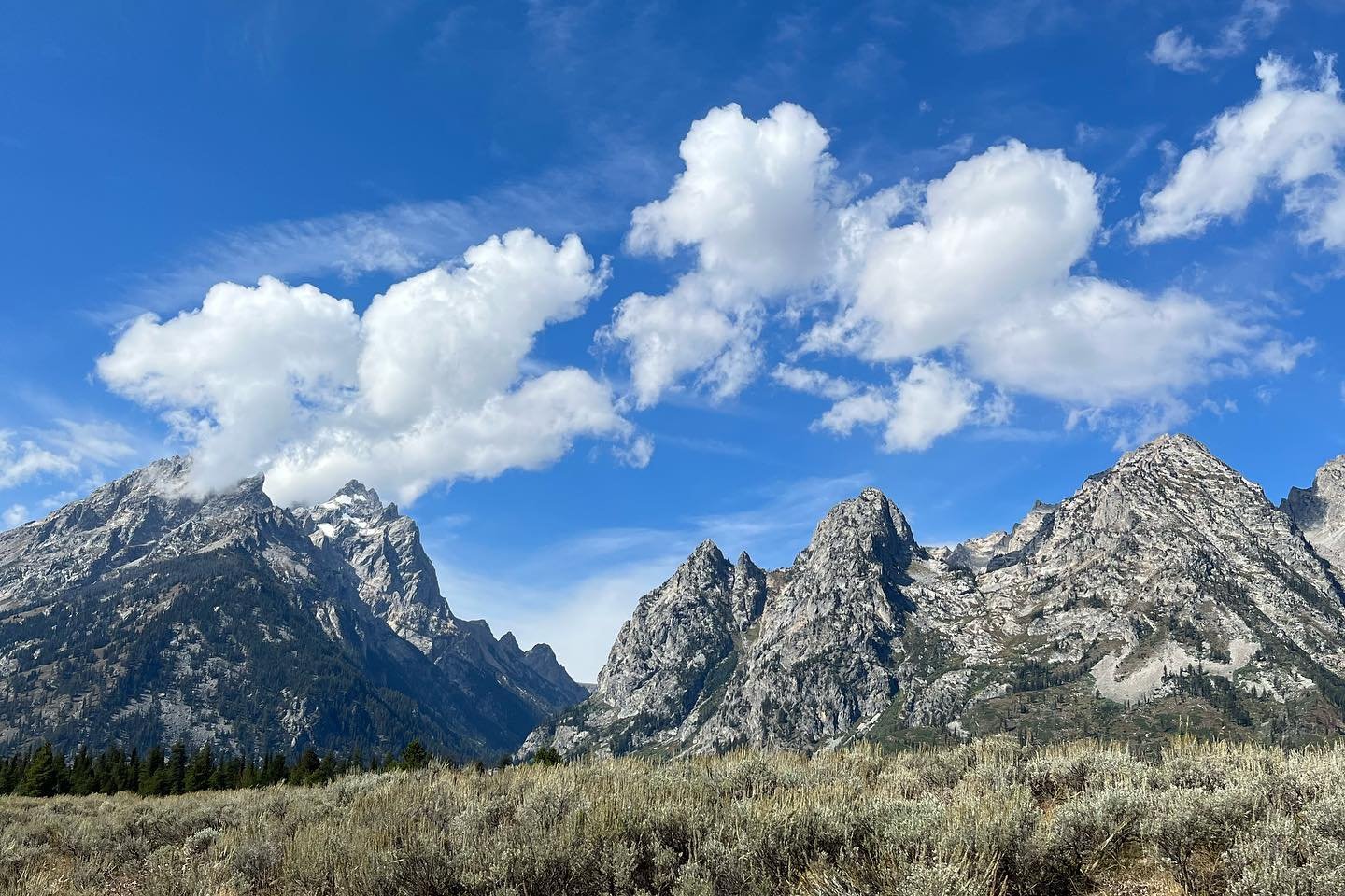 It&rsquo;s a great day to be a bobcat