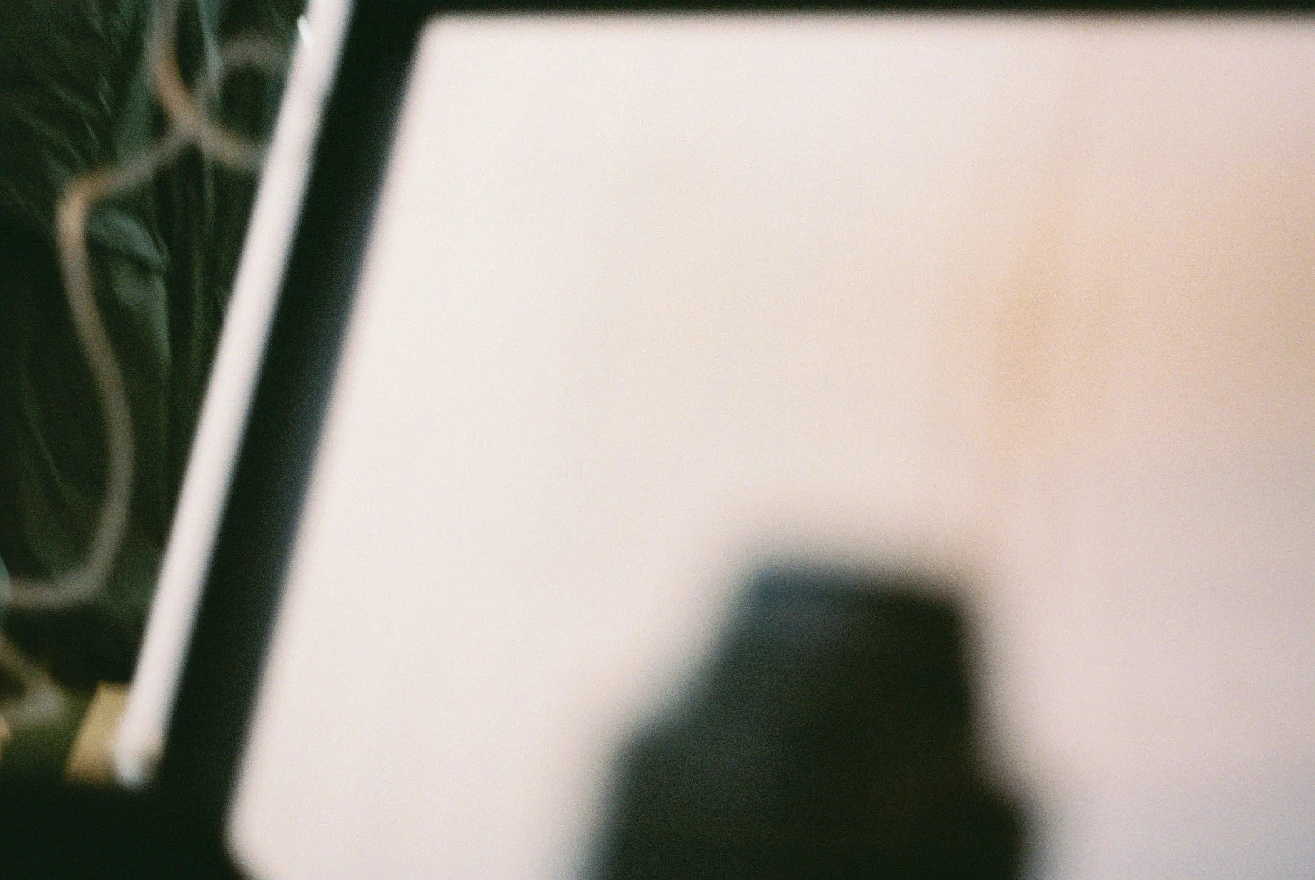 Film photography by Motomi Mizoguchi