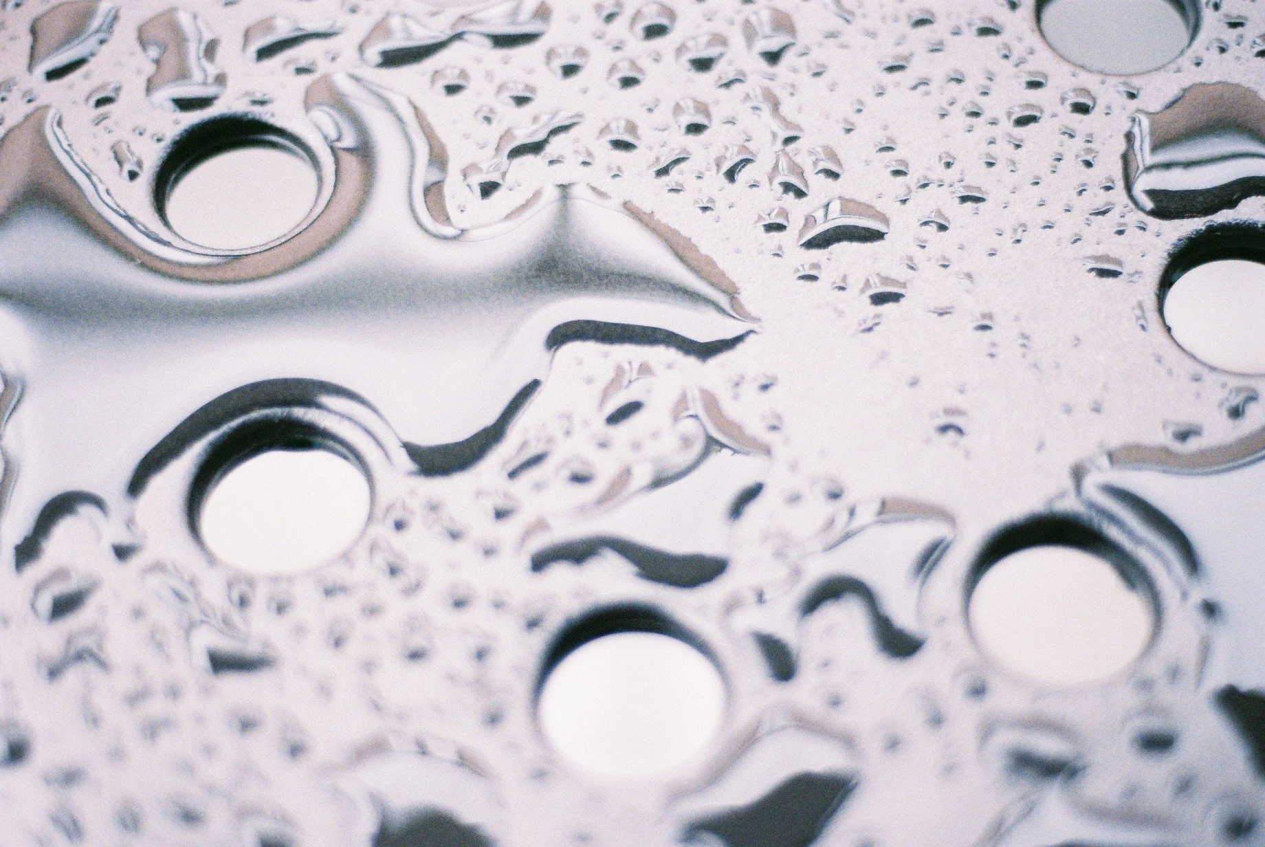 Film photography by Motomi Mizoguchi