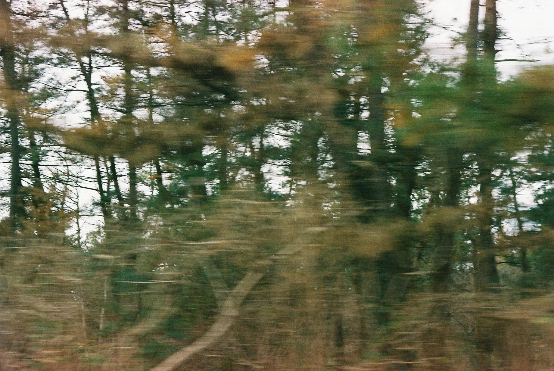 Film photography by Motomi Mizoguchi